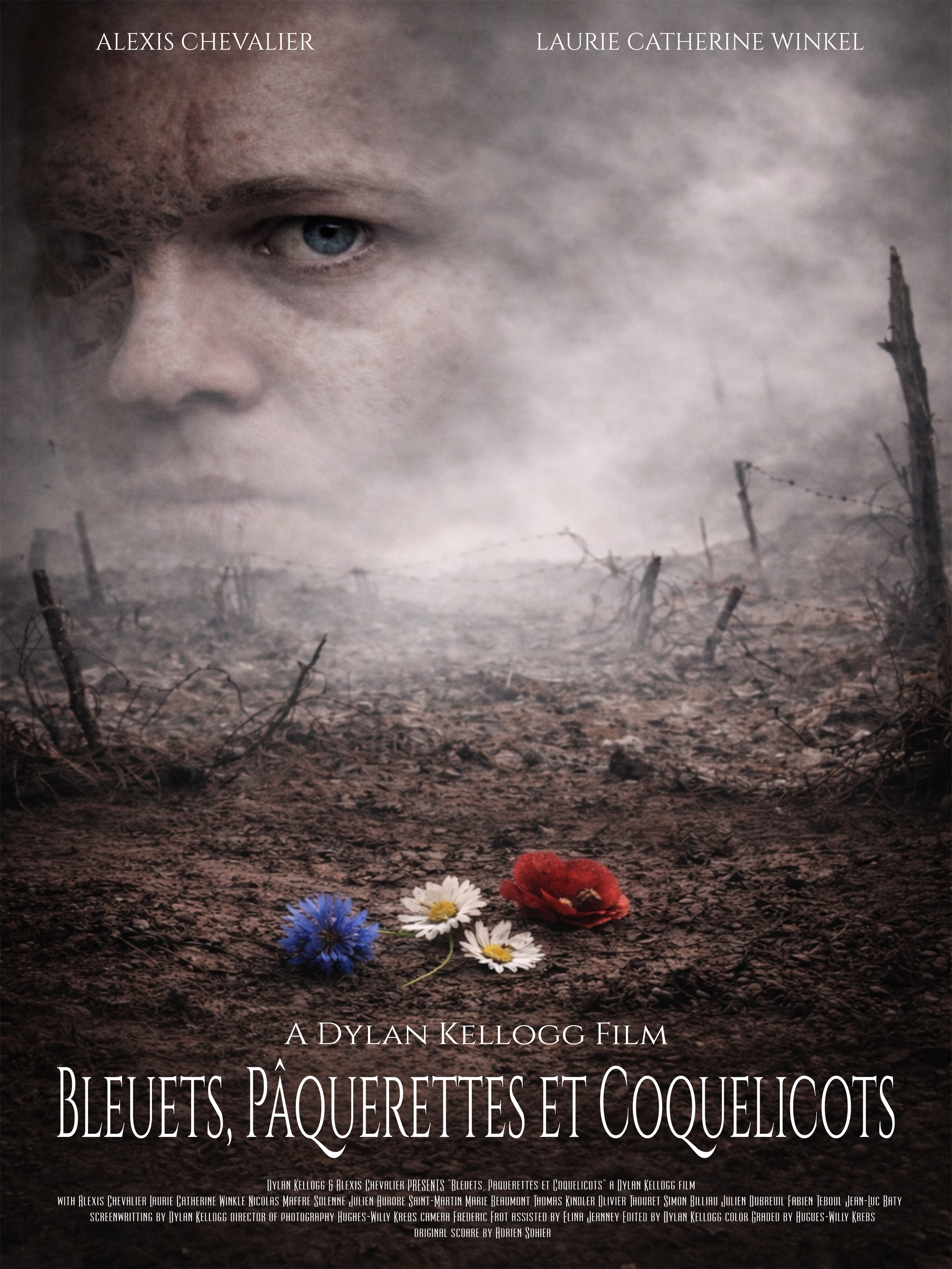 Affiche - Bleuets, Paquerettes et Coquelicots.png