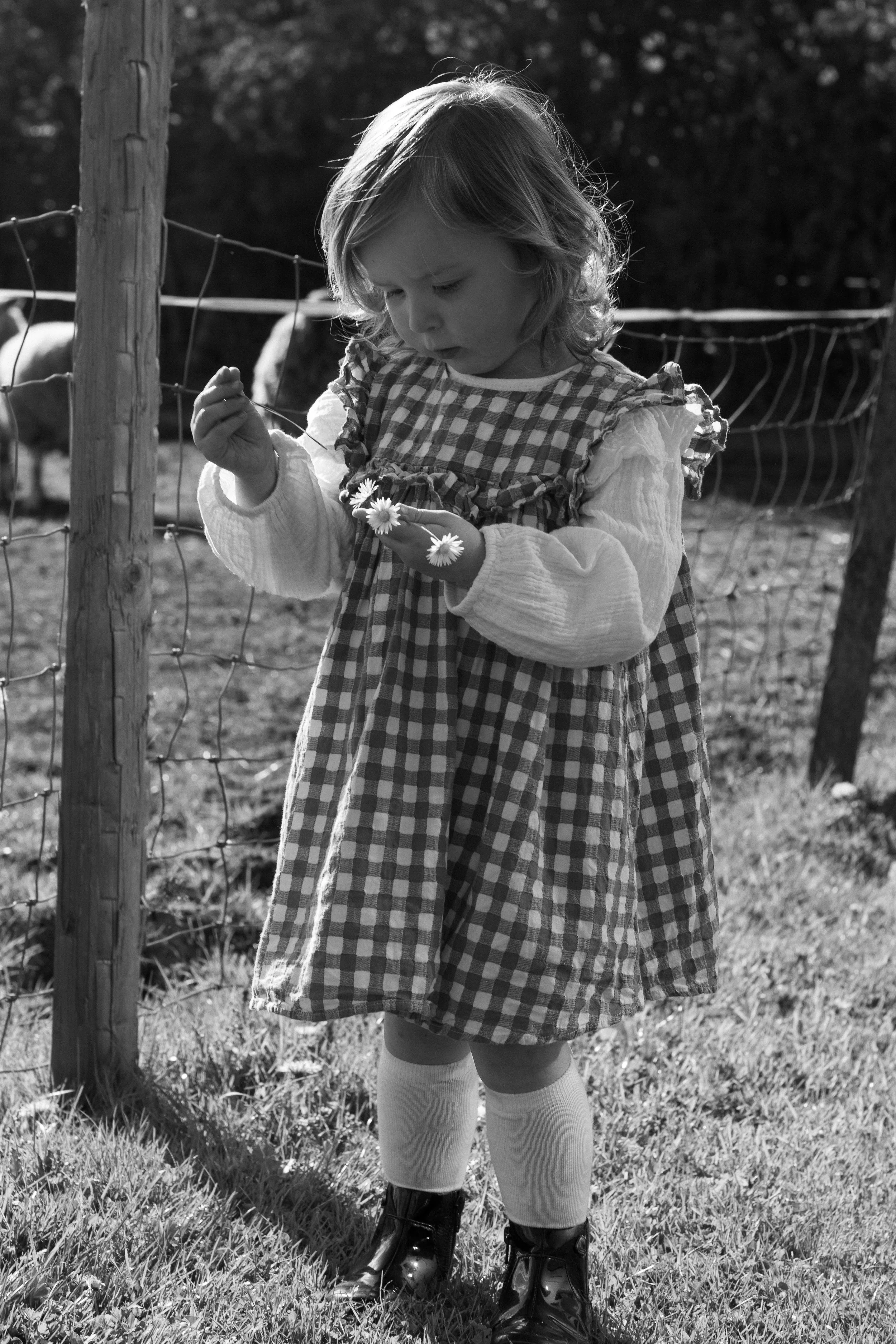 A young girl with shoulder-length hair wearing a checkered dress, long sleeves, knee-high socks, and boots, standing outdoors by a wooden fence with wire mesh, looking down at flowers in her hand.