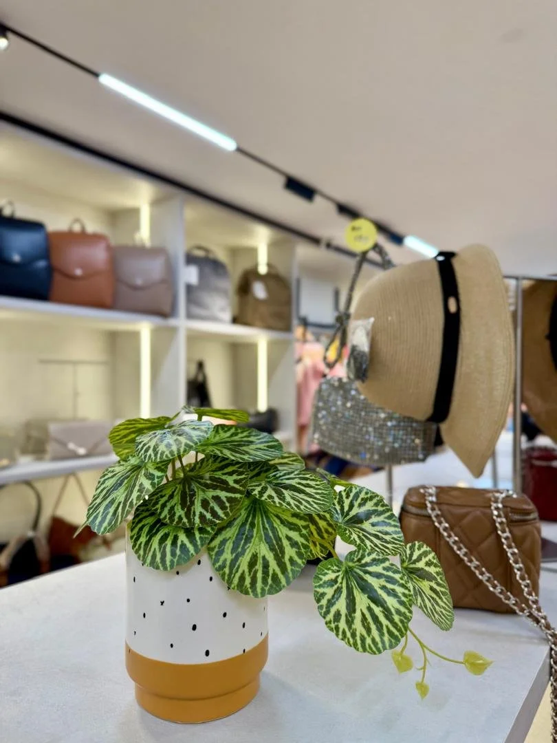 A plant with large, green, patterned leaves in a white and tan ceramic pot, displayed on a white surface inside a store. In the background, there are shelves with handbags and hats.