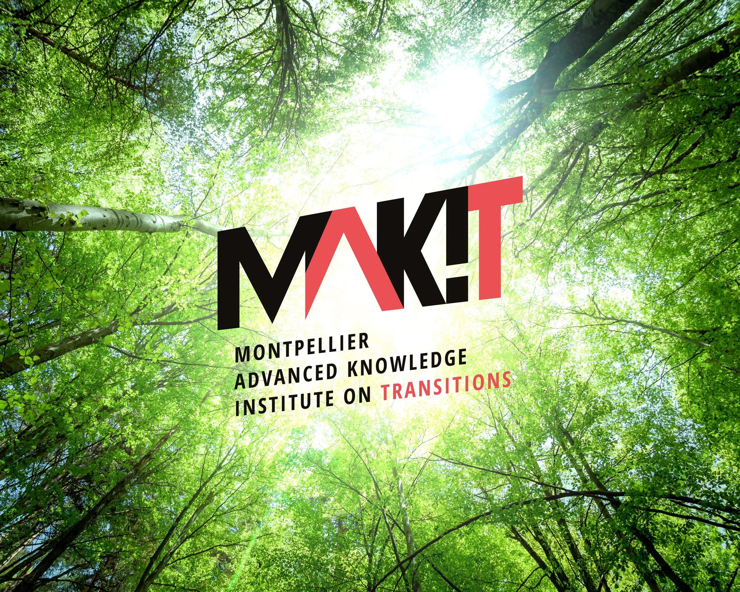 Création de l'identité visuelle et Direction Artistique pour l'institut MAK'IT (Montpellier Advanced Knowledge Institute on Transitions). Conception graphique par le studio Faire Signe.   