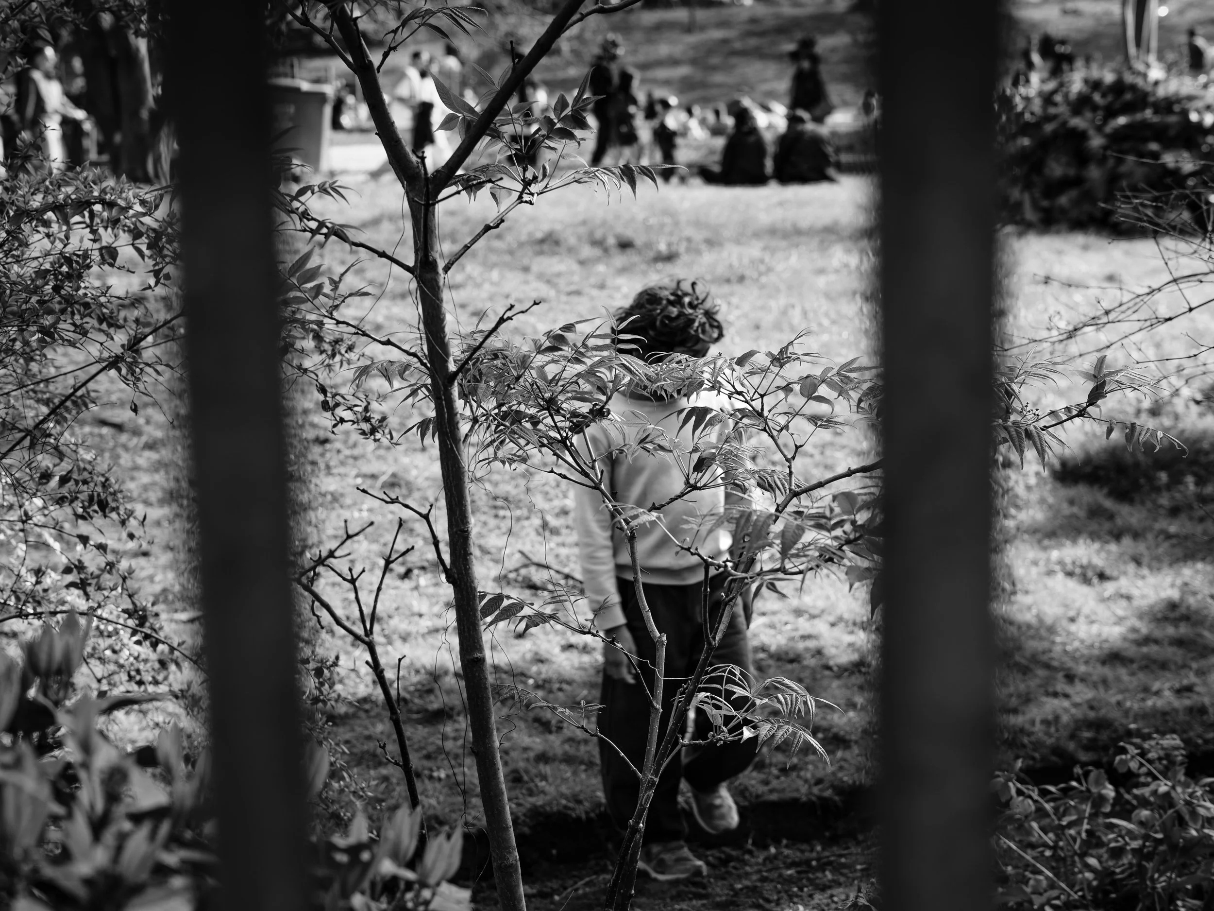 Parisian Life-6.jpg