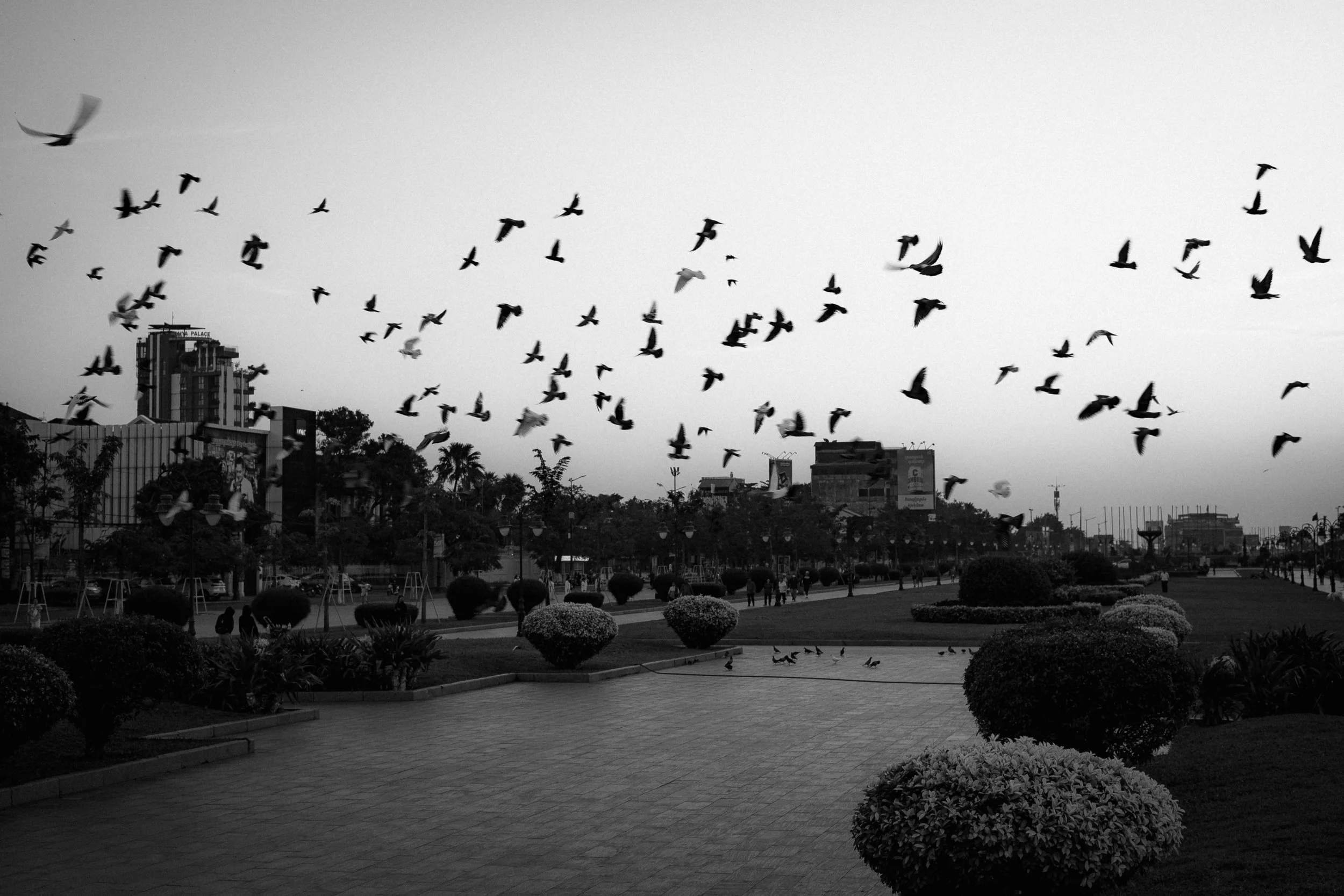 Asie-6.jpg