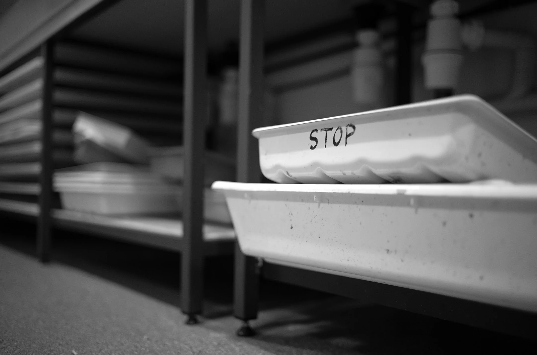 01STOP-L1005898.jpg