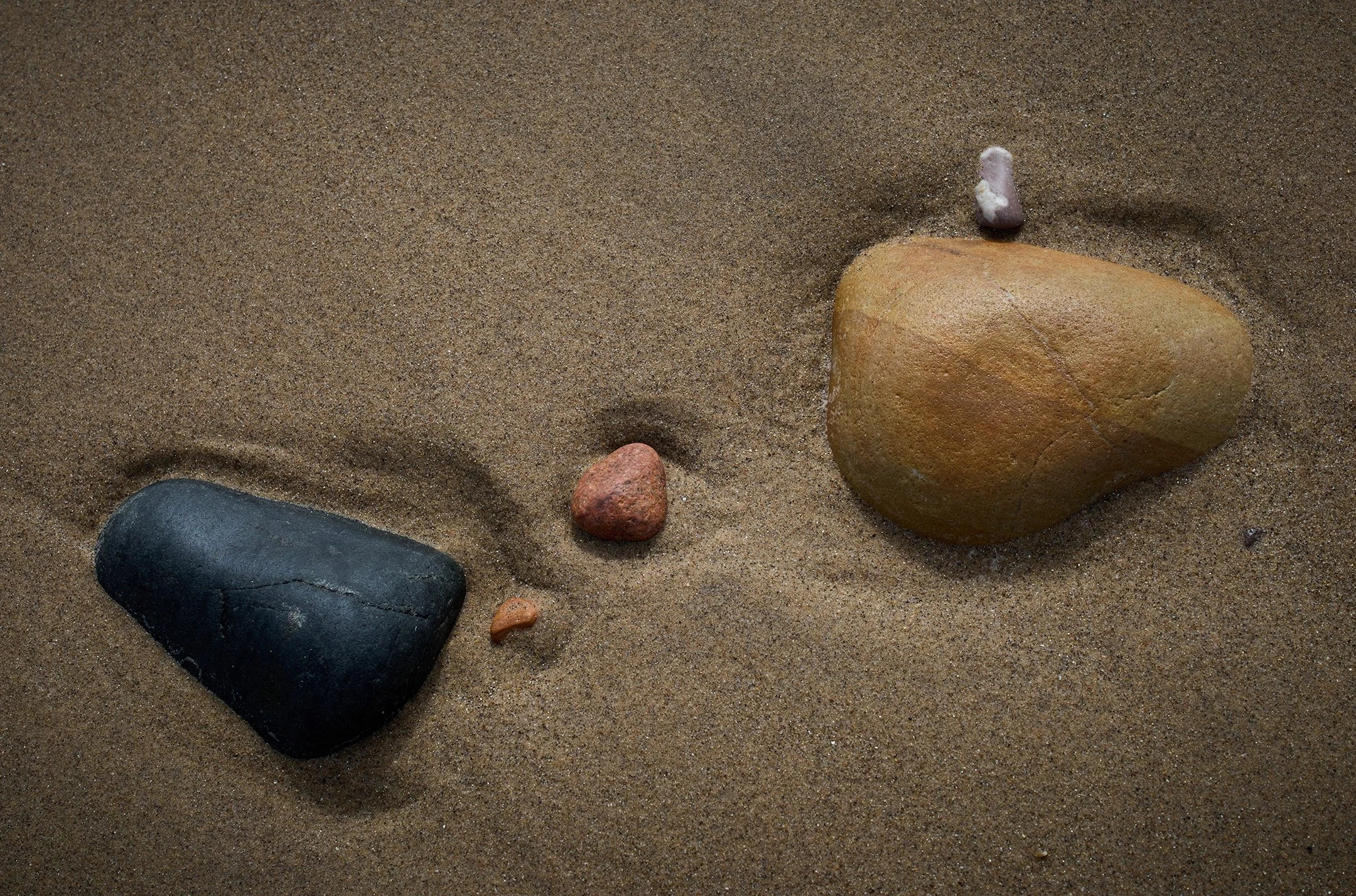 15STILL-LIFE-L1001011.jpg