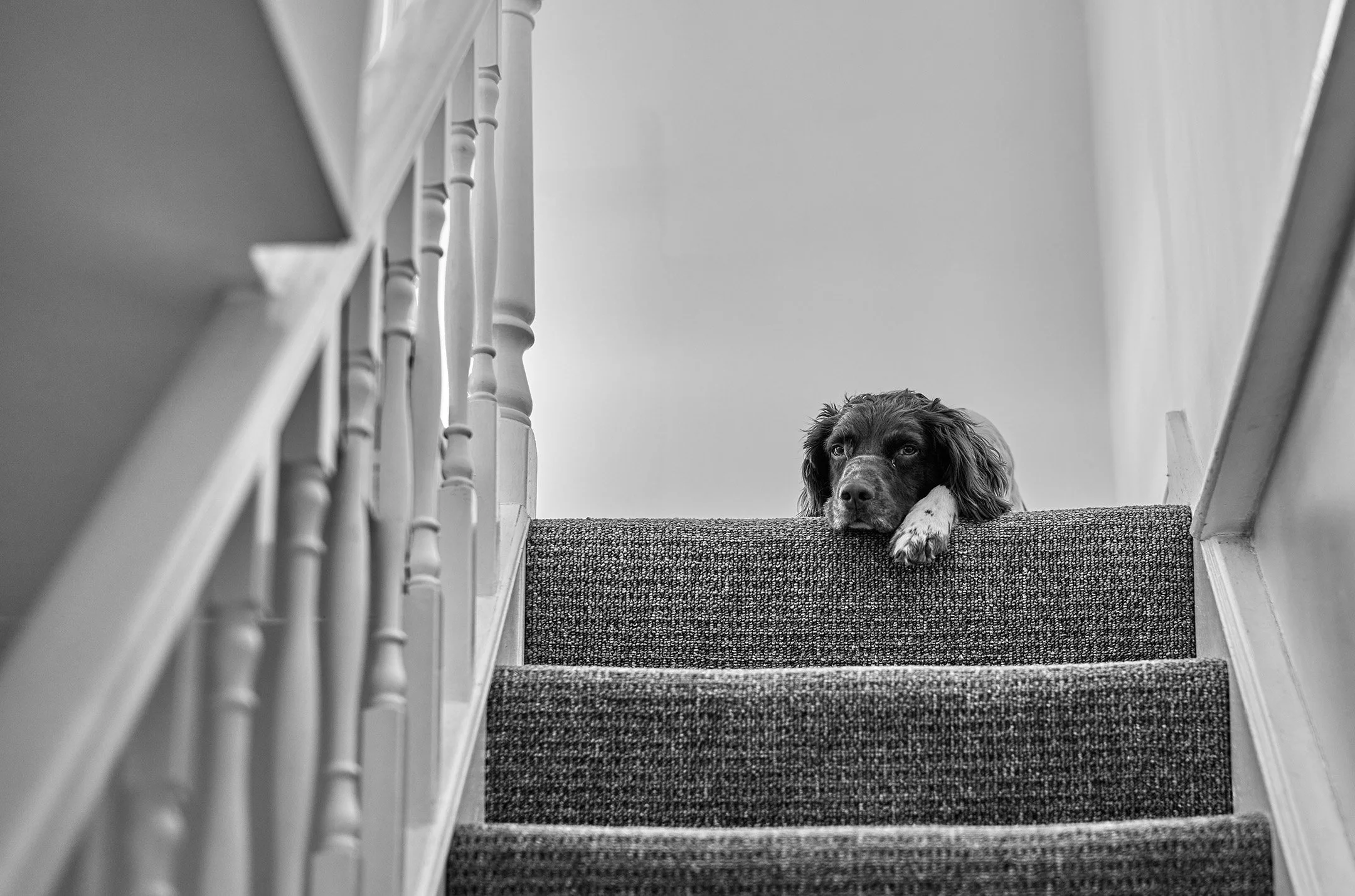 09ARLO-L1000676.jpg