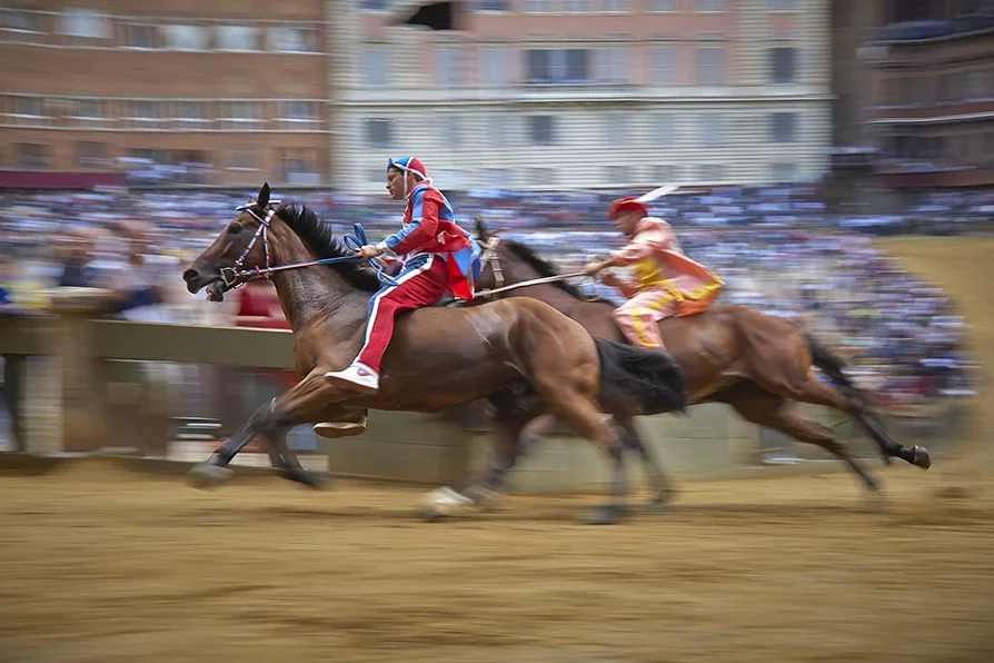 Pantera and Valdimontone in the trials.