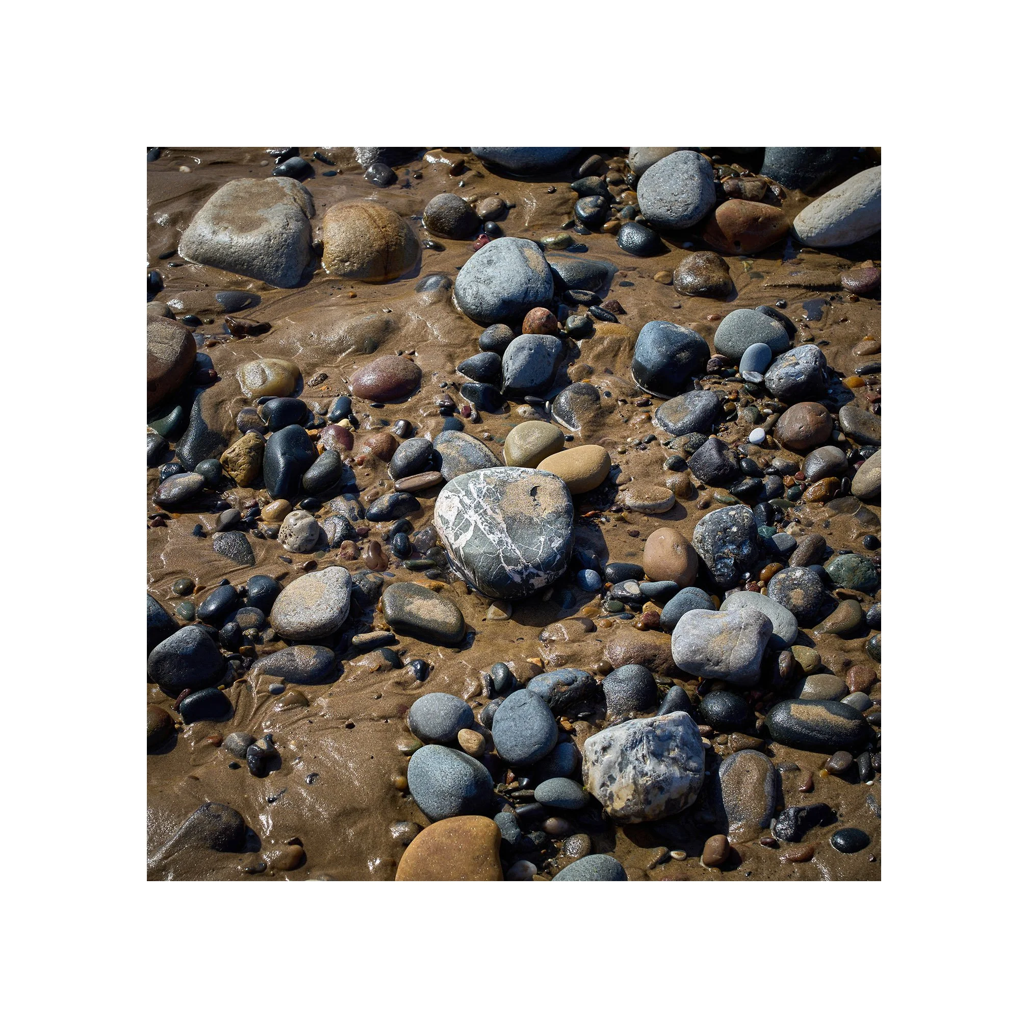 Still Life on the Beach. 
Hornsea, 12th July 2026

#Leica 
#Summilux 
#Hornsea 
#Coast