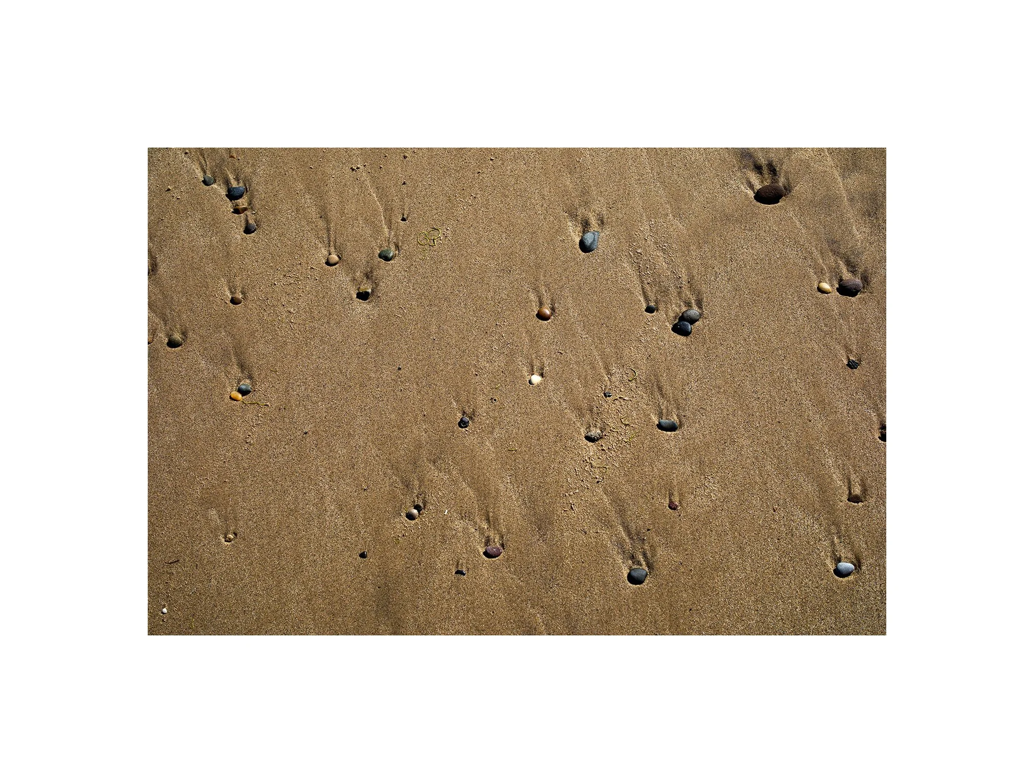 Still Life on the Beach. 
Hornsea, 12th July 2026

#Leica 
#Summilux 
#Hornsea 
#Coast