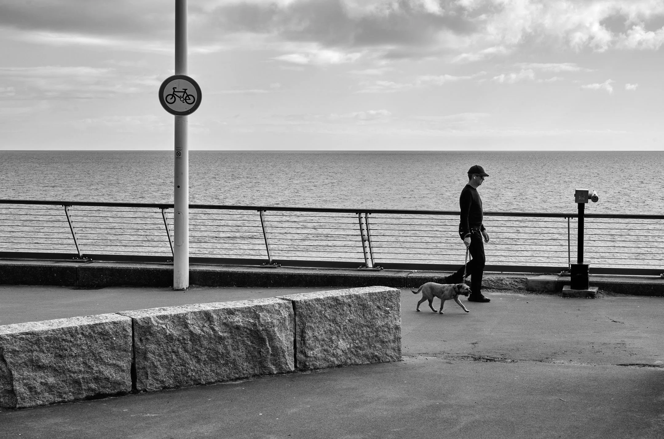 Man, Dog and the Sea.