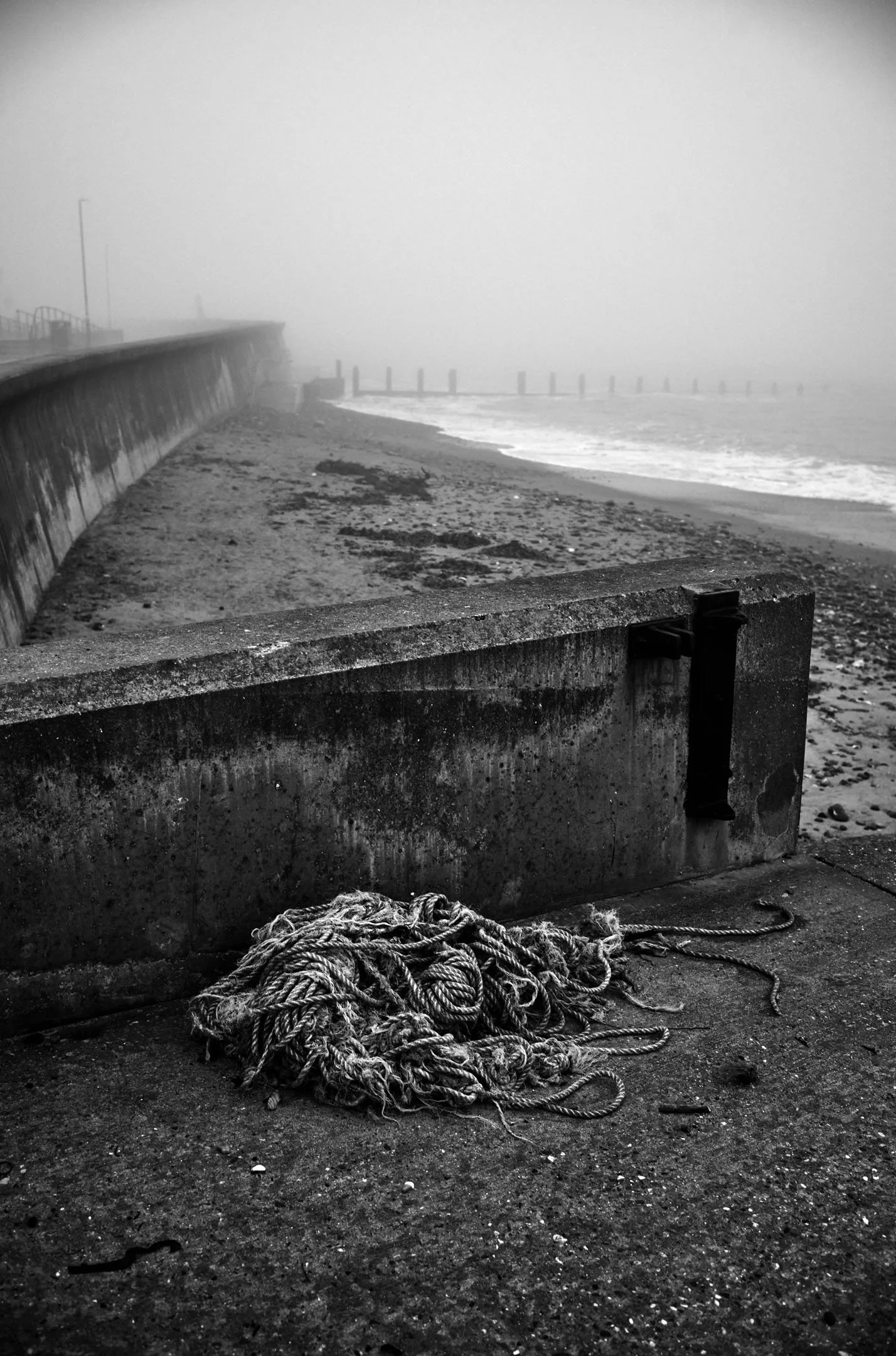 Sea Rope and Sea Fret.