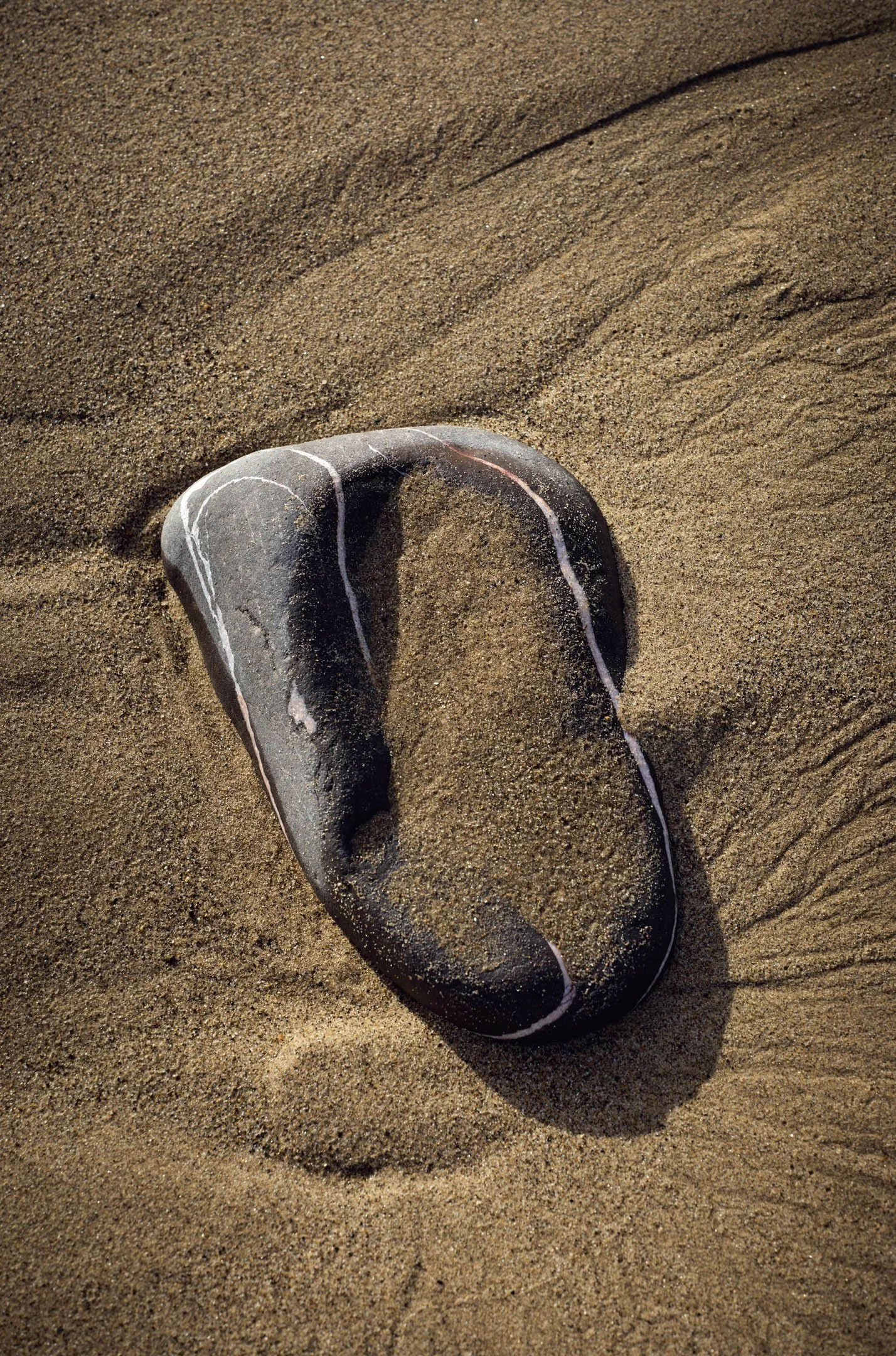 Still Life on the Beach.
