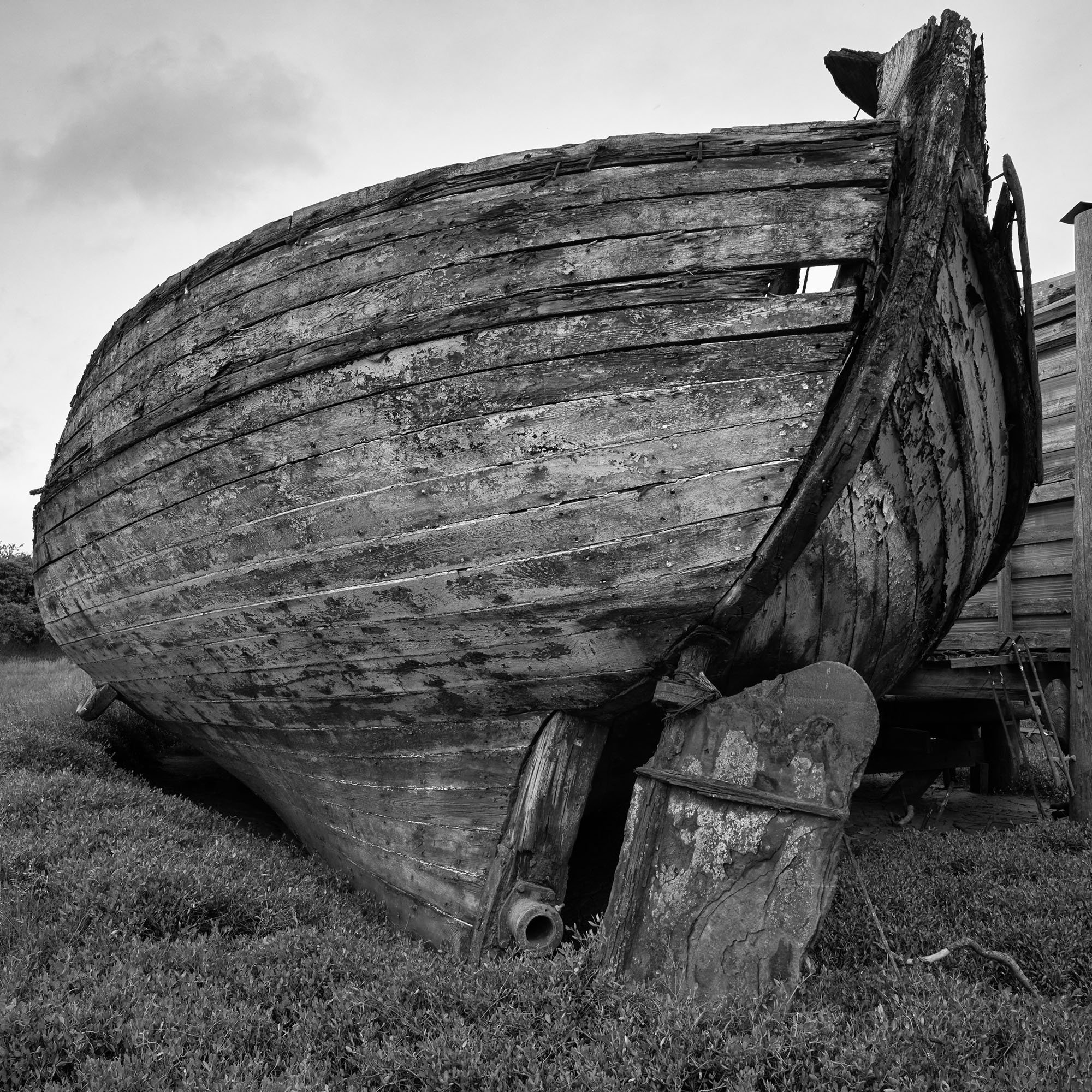 Rudder.