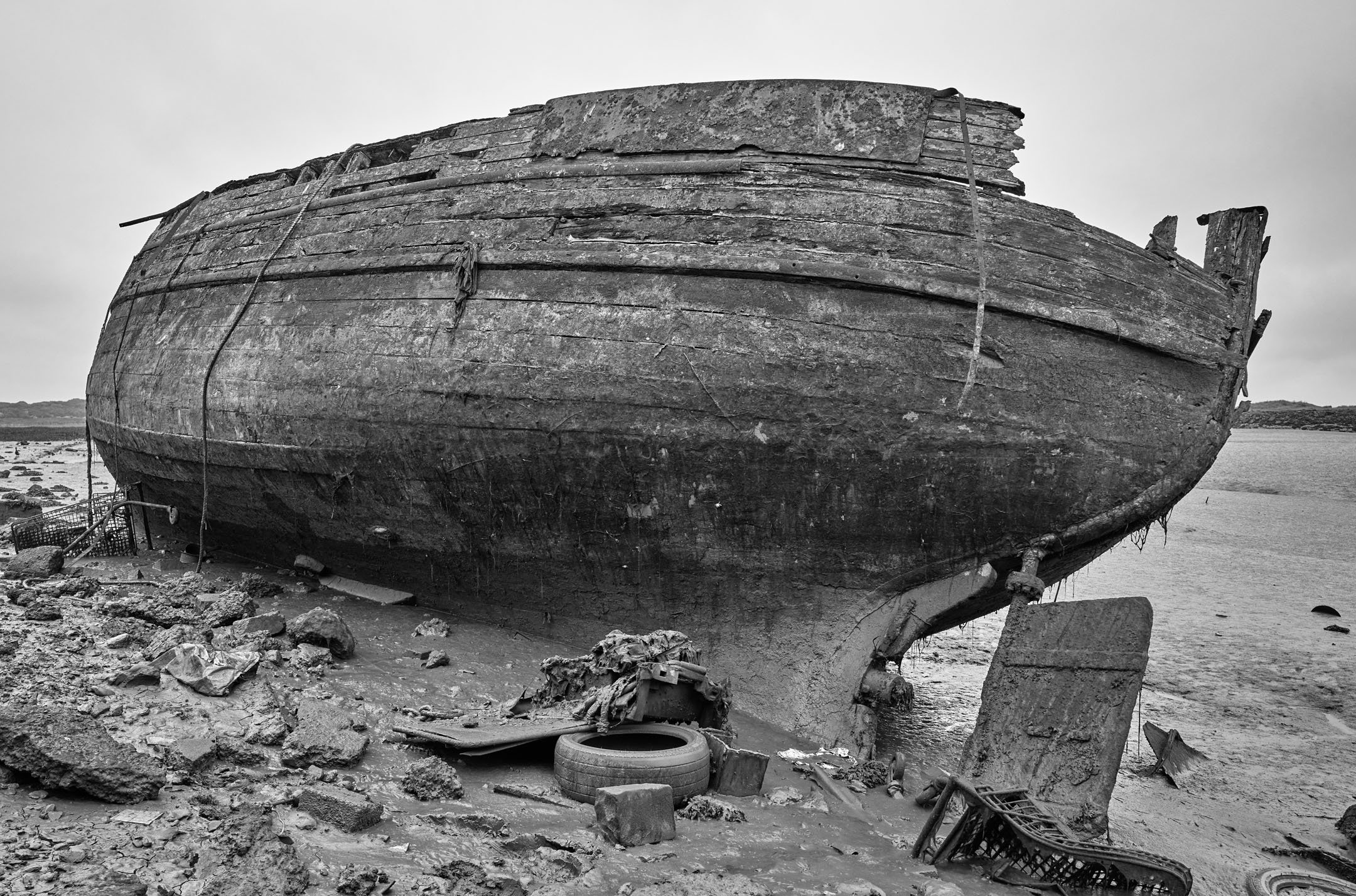 Not quite Noah's Ark.