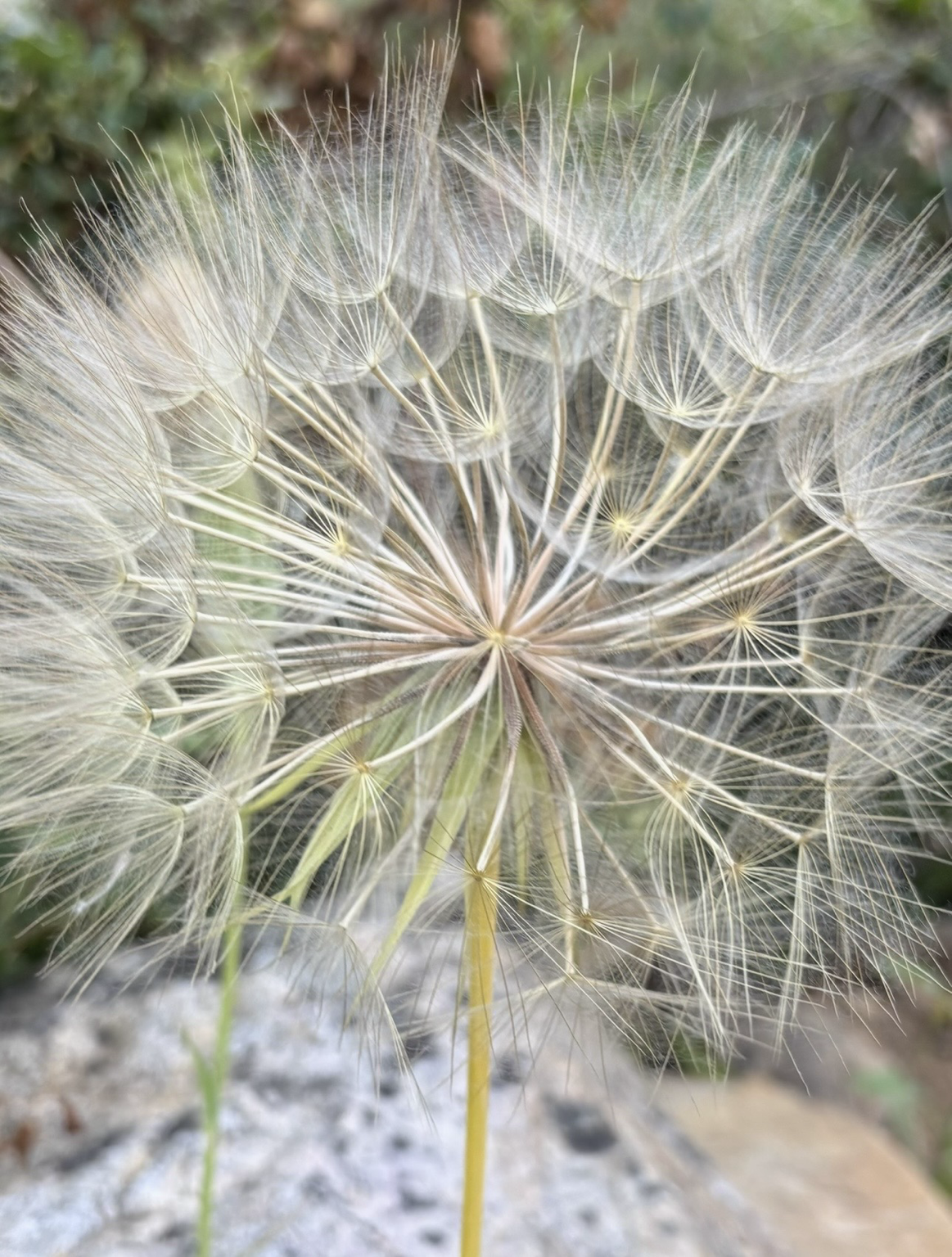 B4115E58-E12C-4318-AF7C-AF56321F7715.png
