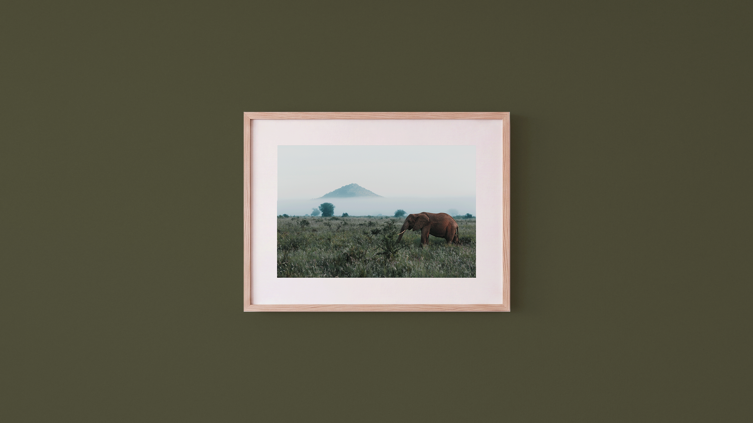 West Tsavo - kaki.png