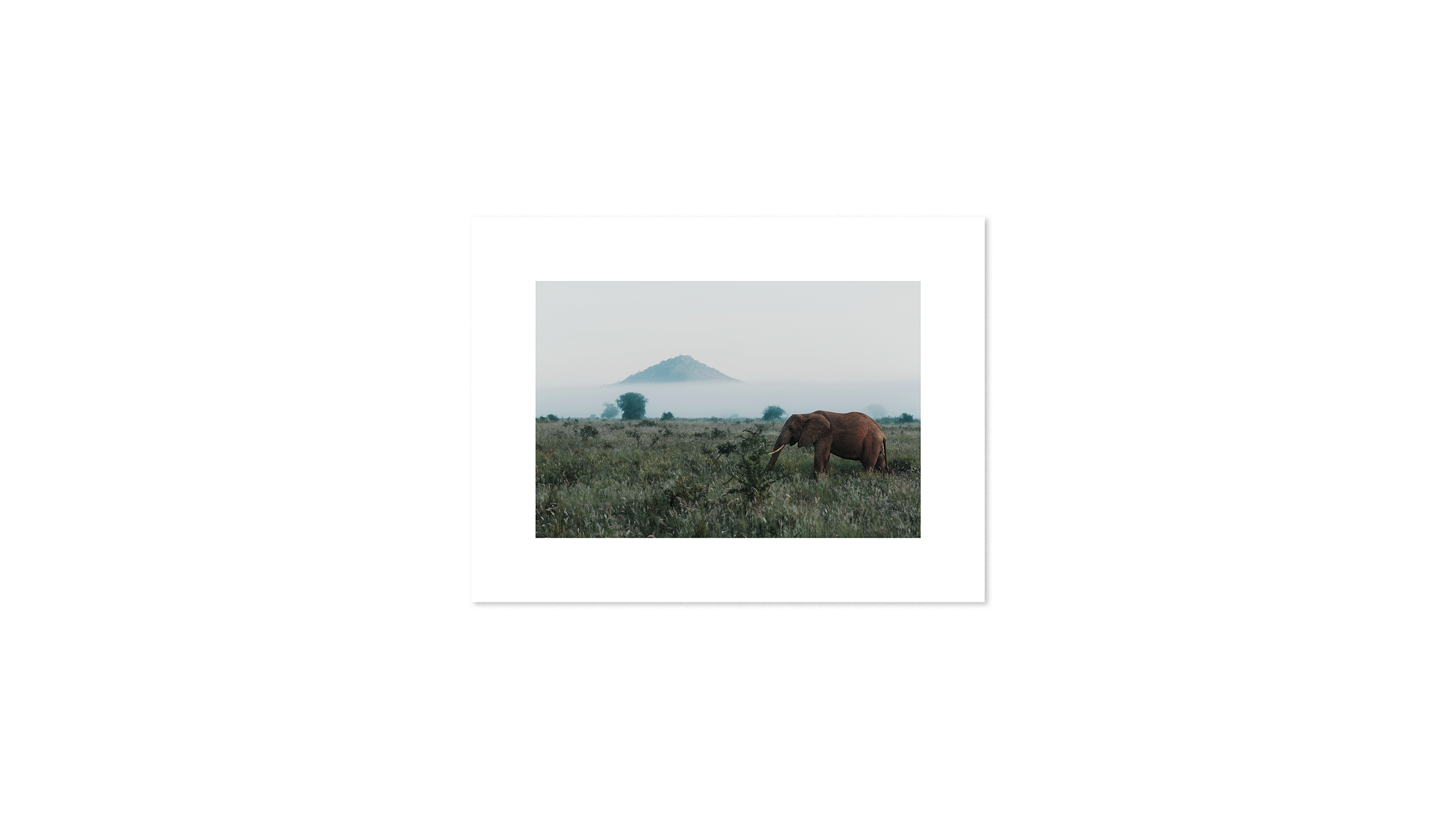West Tsavo-brut.png