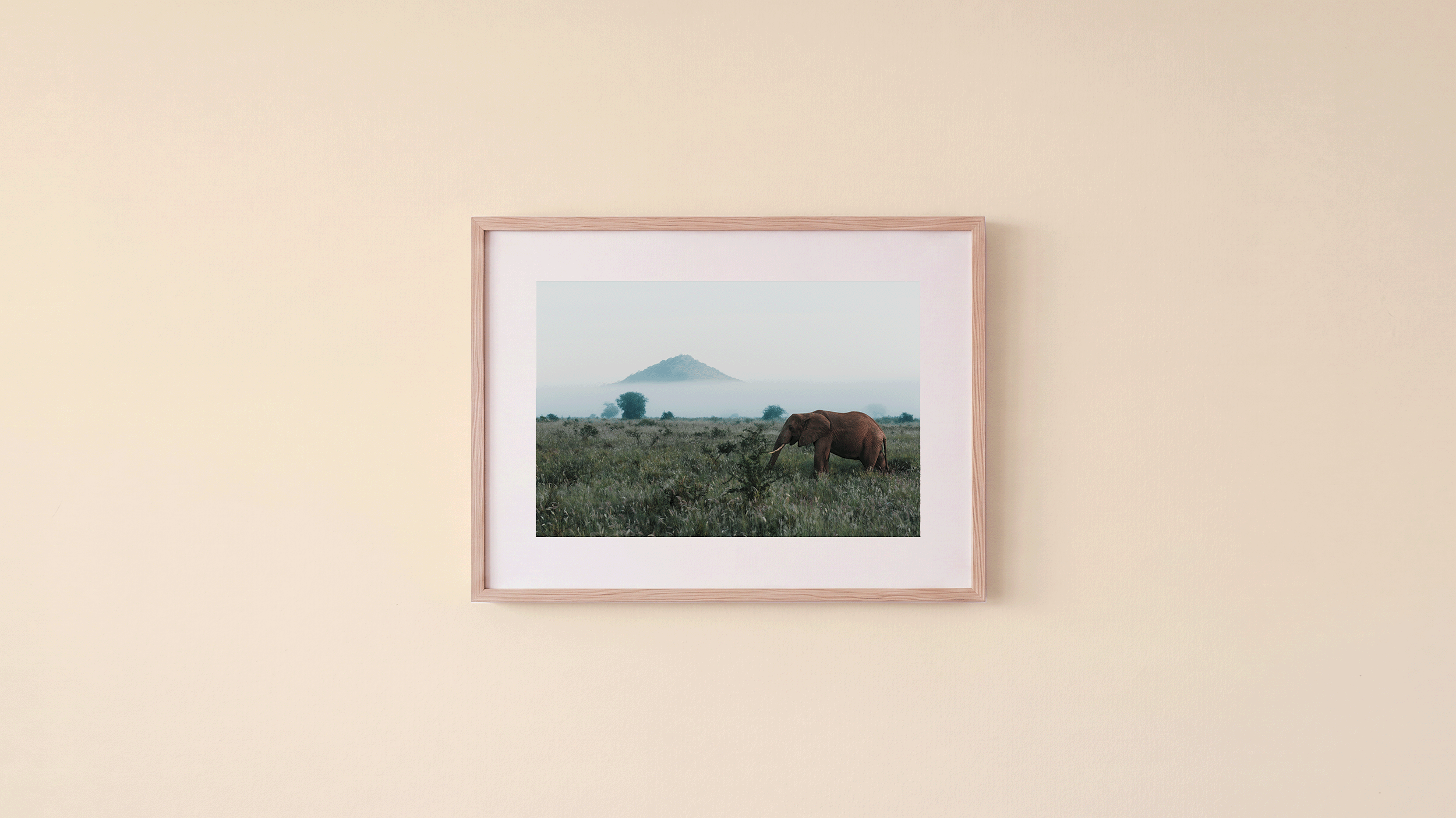 West Tsavo - creme.png