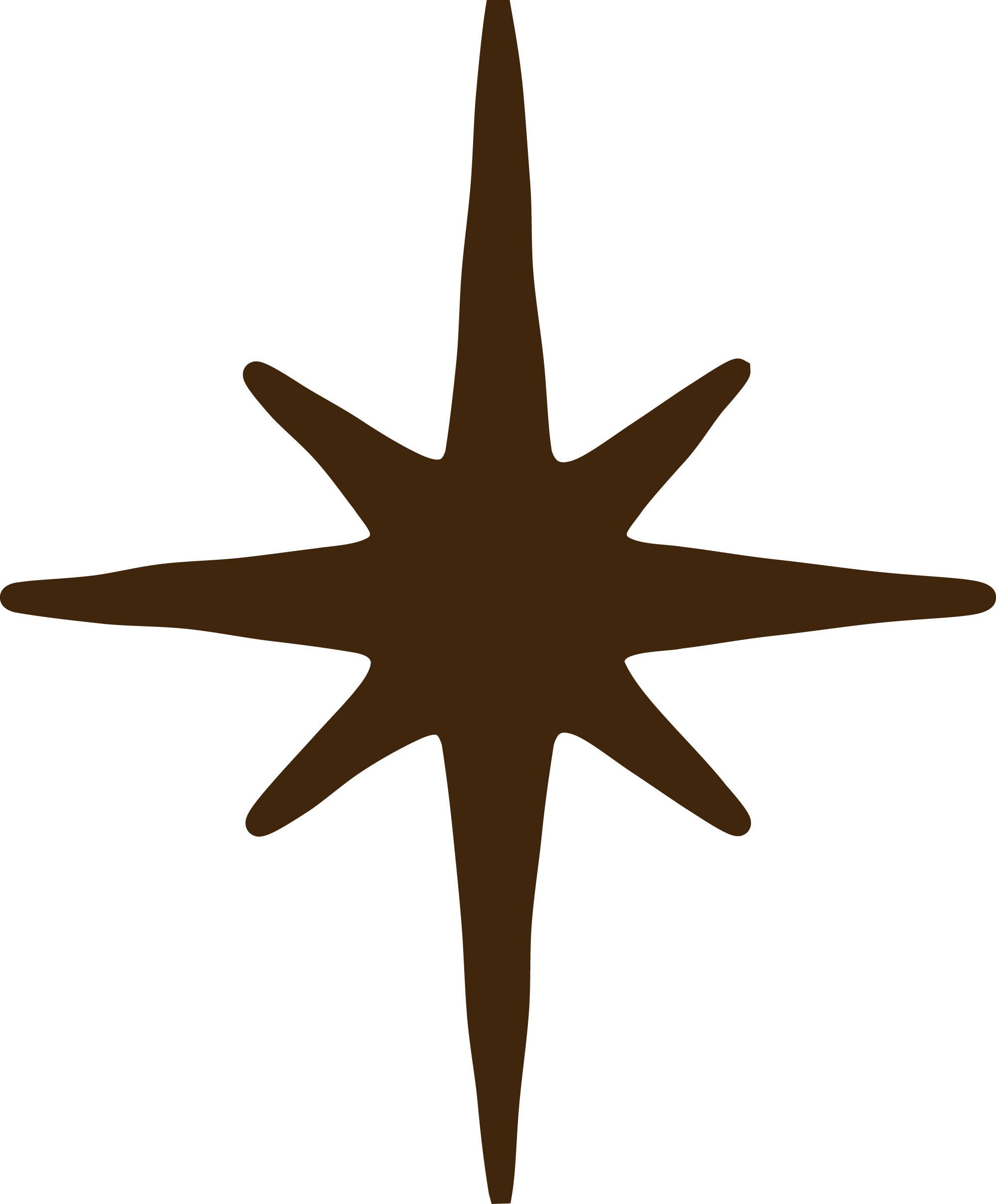 A brown star-shaped object with pointed tips on a black background.