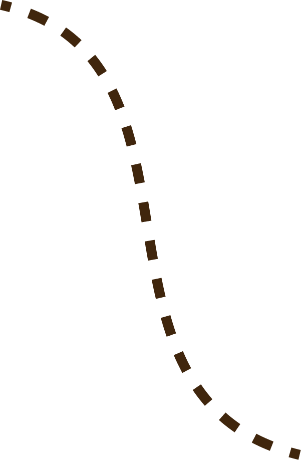 Silhouette of a person standing on a mountain peak at sunset or sunrise, with a flag planted nearby.