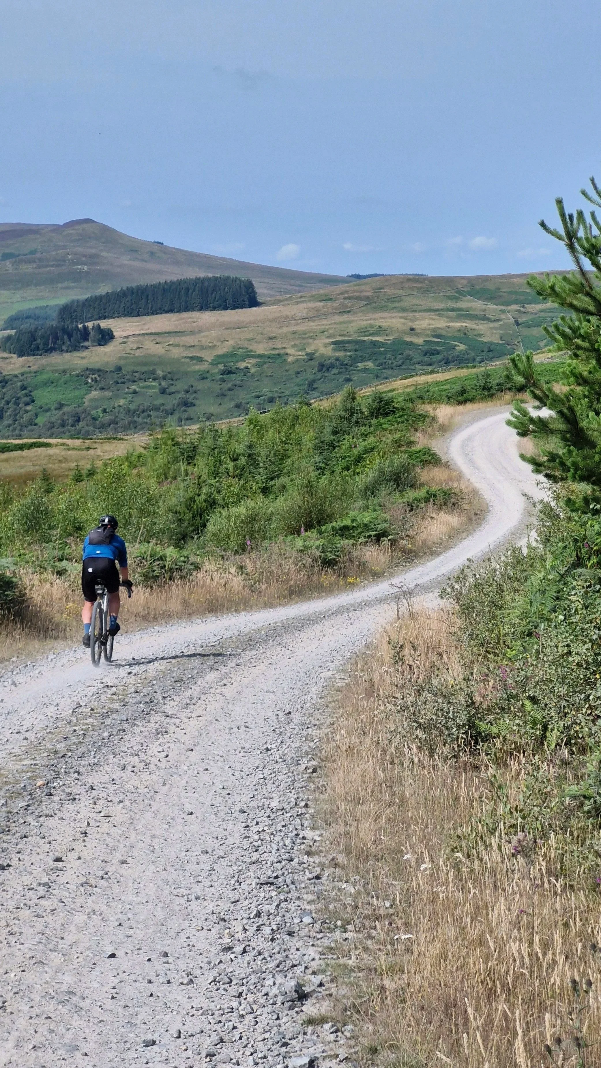 A person riding a mountain bike on a winding gravel trail through a grassy hillside with mountains in the background.