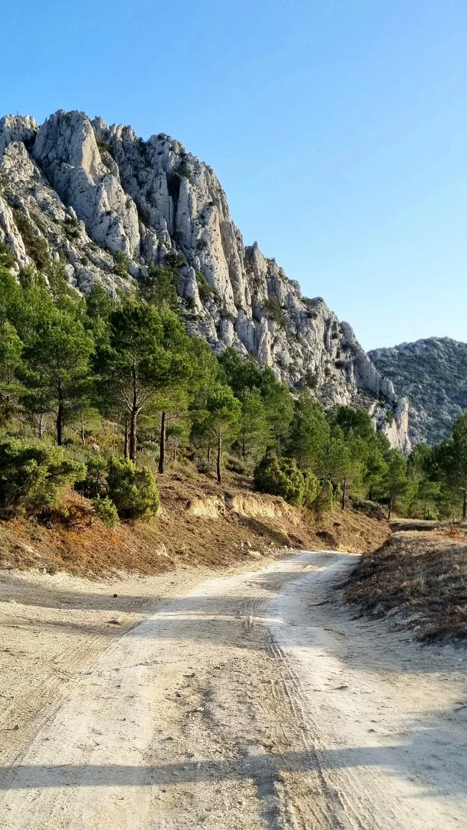 A dirt road winding through a hilly landscape with green trees and rocky mountains under a clear blue sky.