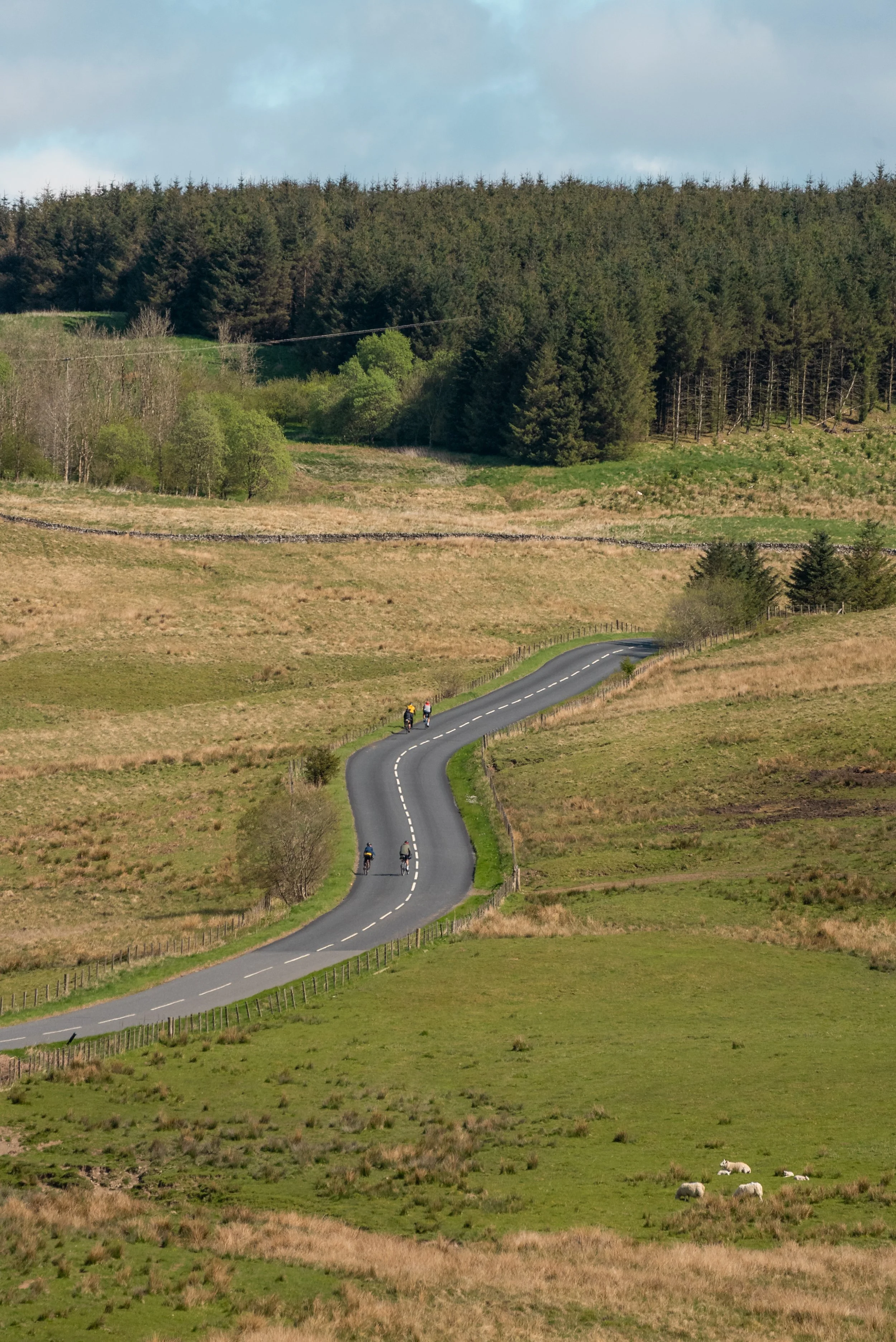 Winding country road through green fields with sheep grazing, trees in the background, and a cloudy sky overhead.