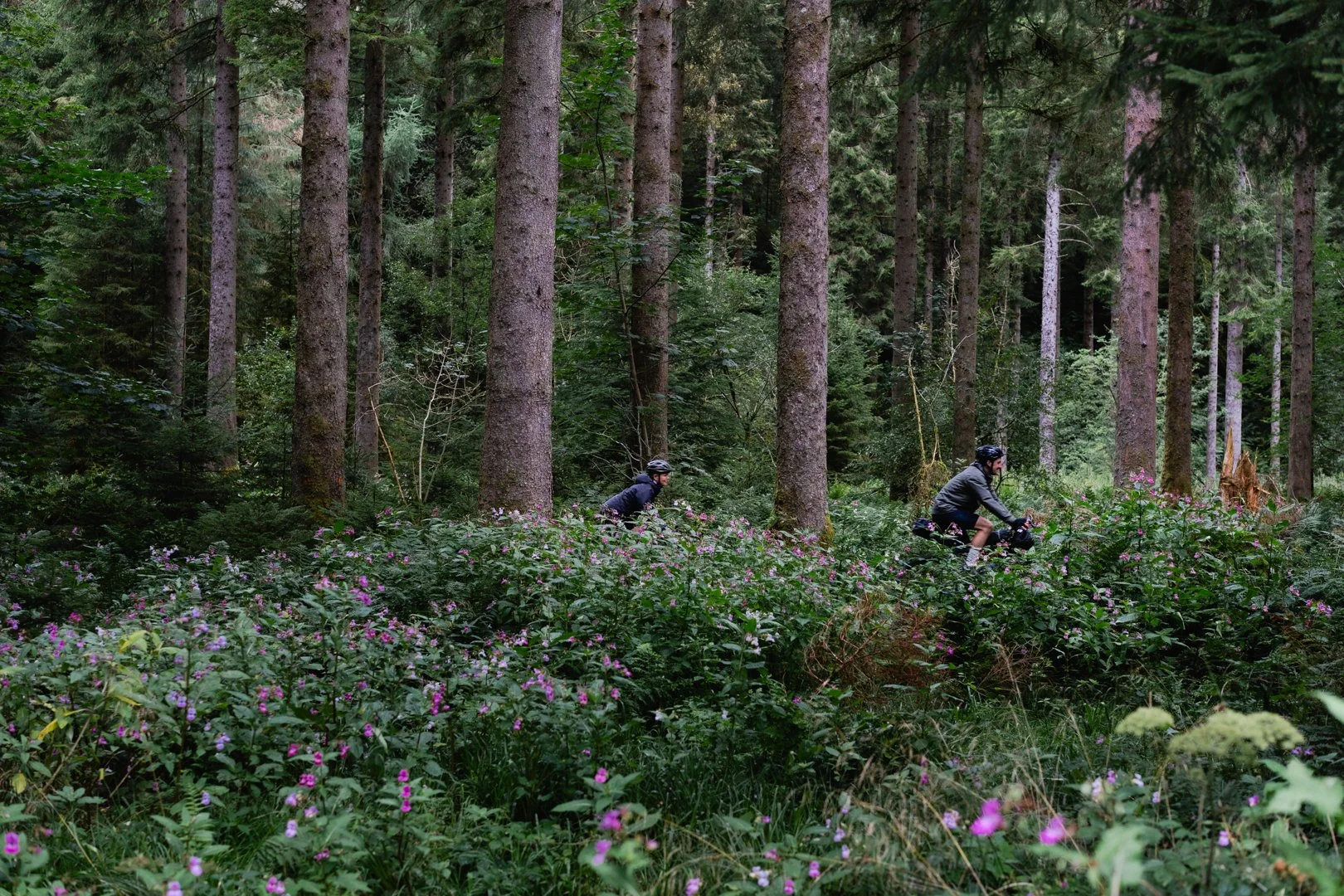 Two people riding mountain bikes through a dense forest with tall trees and colorful wildflowers.