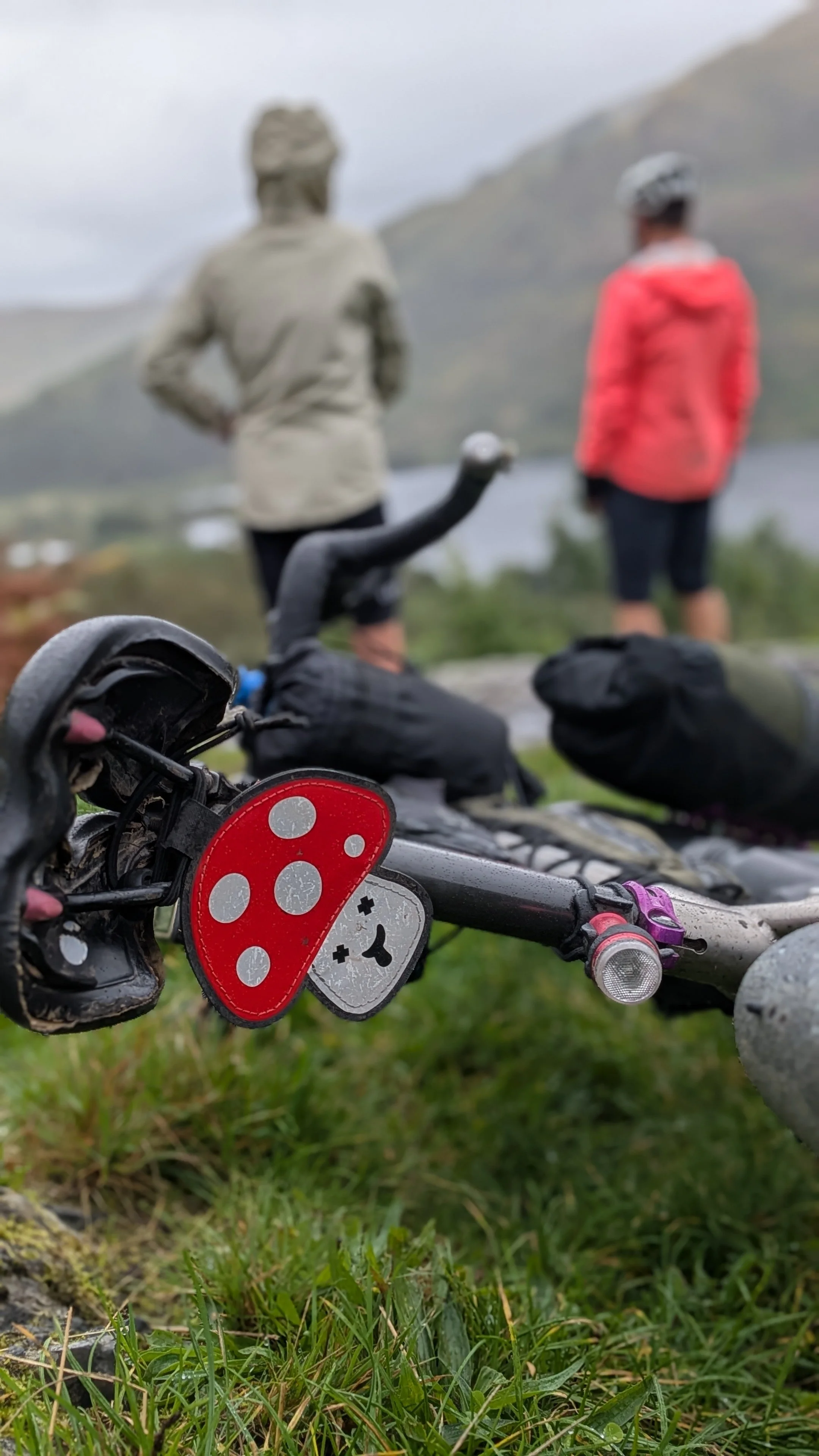 Close-up of a bicycle handlebar with a red ladybug sticker, placed on grass. In the blurred background, two people are standing outdoors near a body of water, with hills in the distance.