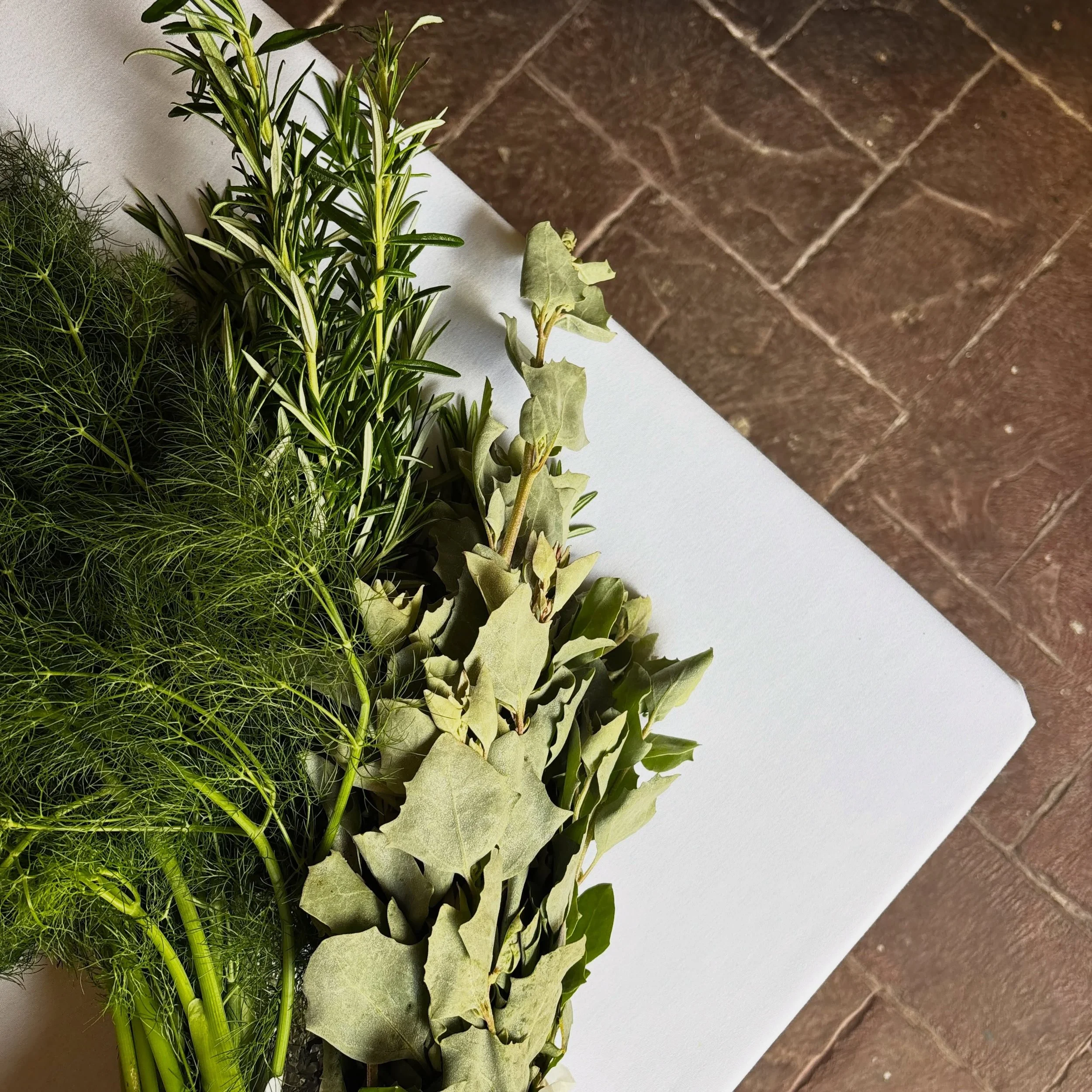 Some beautiful saltbush, rosemary and bronze fennel from the @bellwetherwine garden will be making its way onto the menu this Tuesday and maybe even garnishing a little spritz for aperitivo.

If you missed out on a seat at the dinner, you can still s