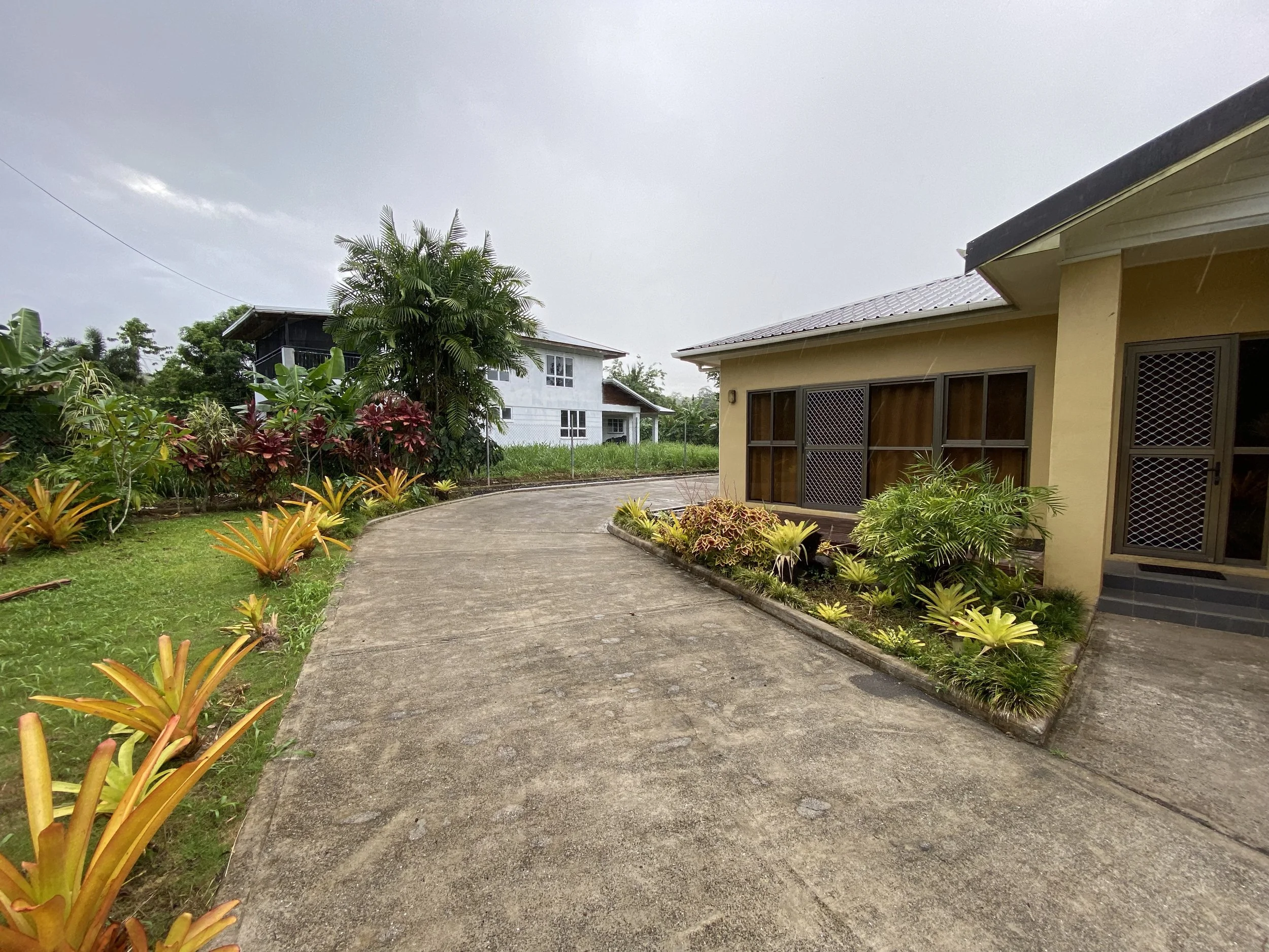 A residential street scene with two houses, one yellow and one white, and a curved concrete driveway surrounded by various green plants and colorful foliage.