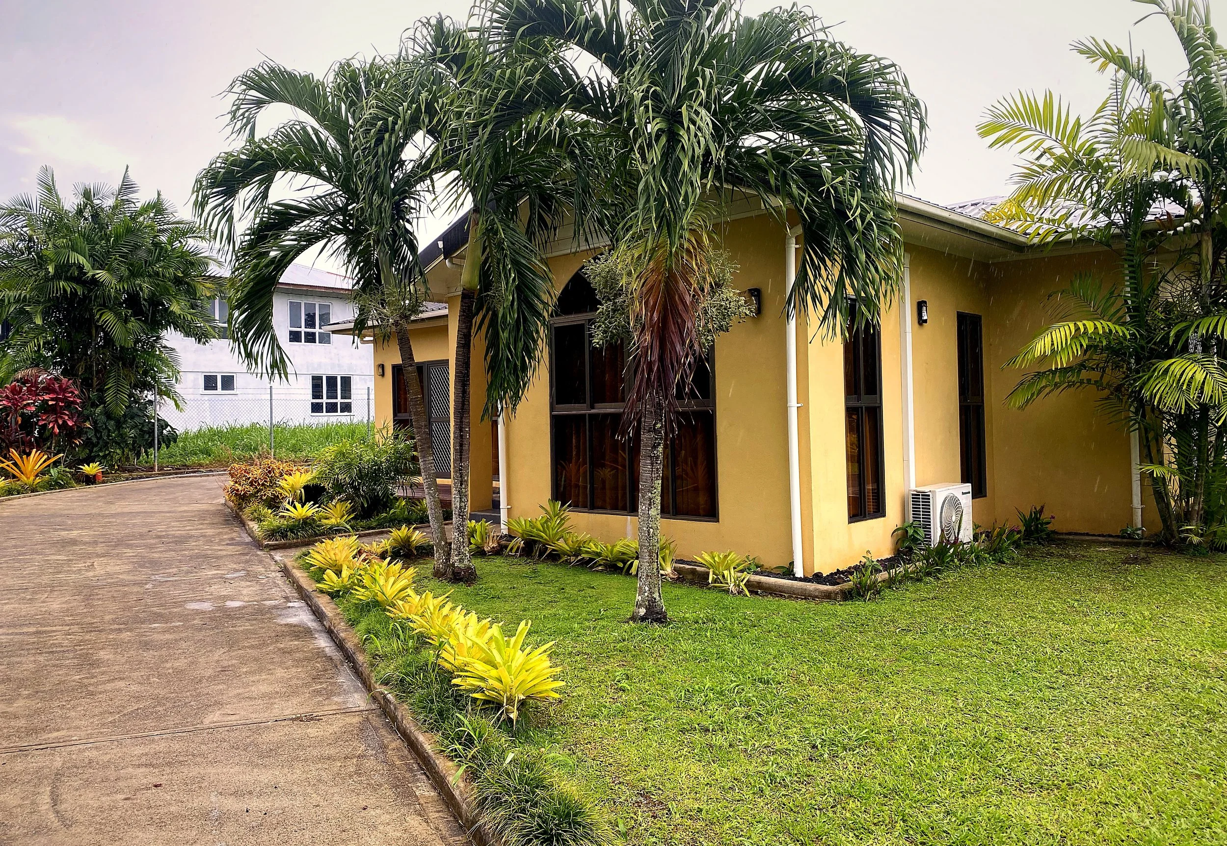 A yellow house with multiple windows, a black front door, and a gray roof, surrounded by lush green tropical plants and trees, with a paved driveway in the foreground.