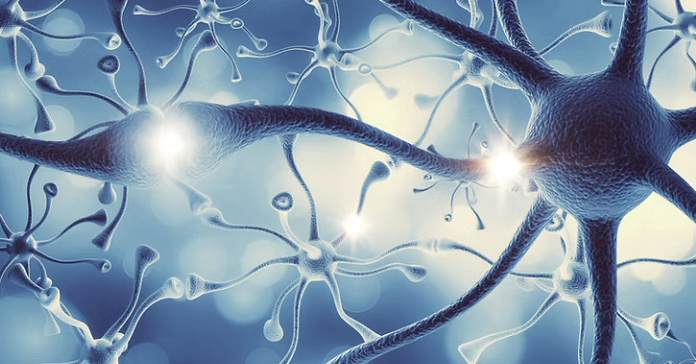 A simple way to calm the nervous system