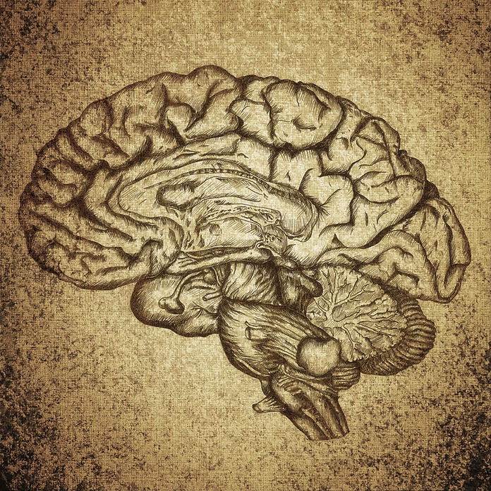 Is your brain getting lazy? Blog post