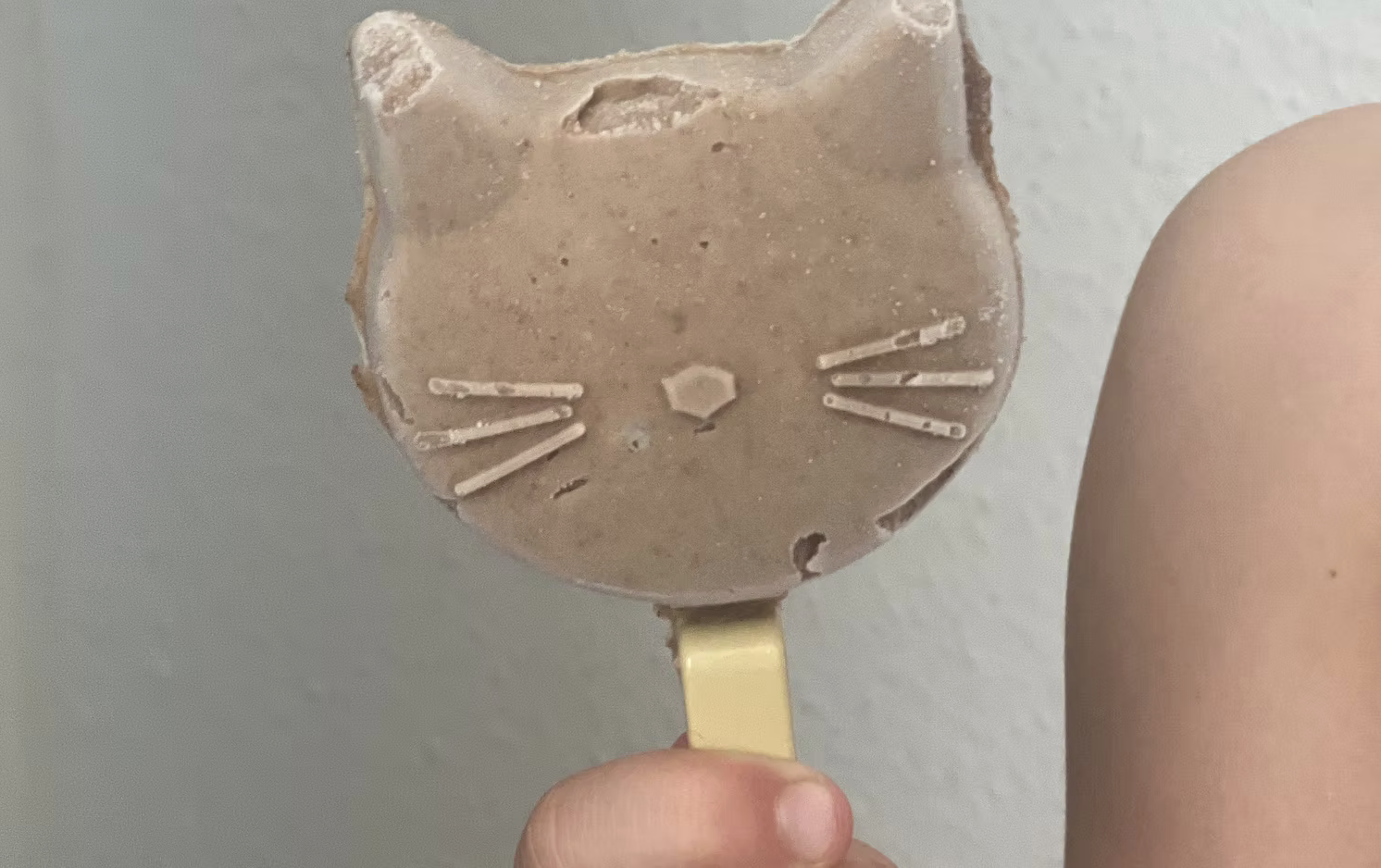 Dairy-Free Vanilla Ice Cream Recipe