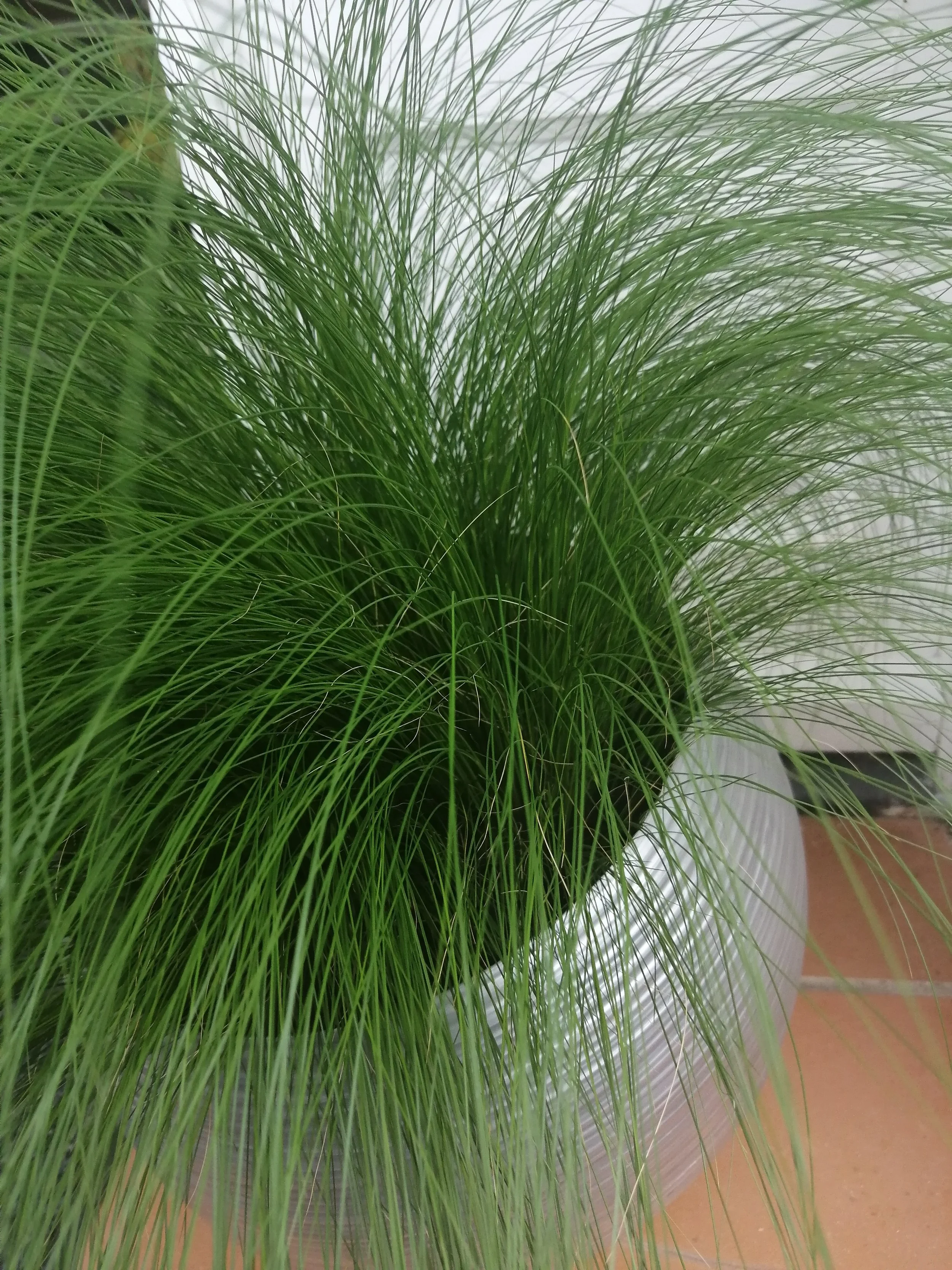 IMG_20230324_121834.jpg