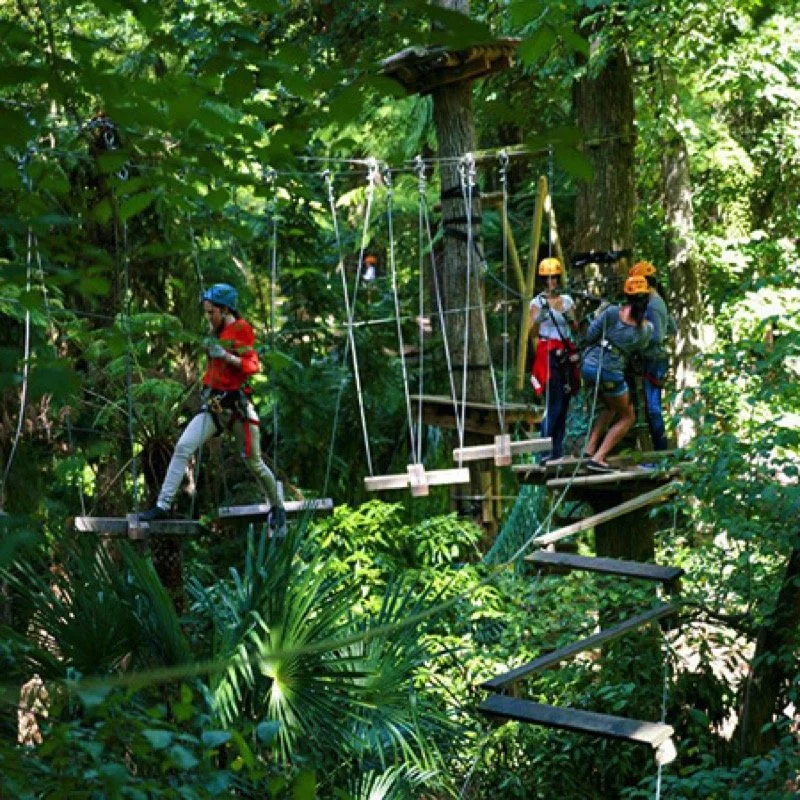 Tree Tops Adventure Belgrave