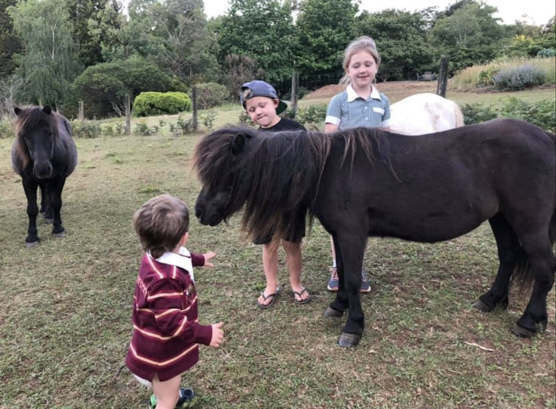 pony play.png