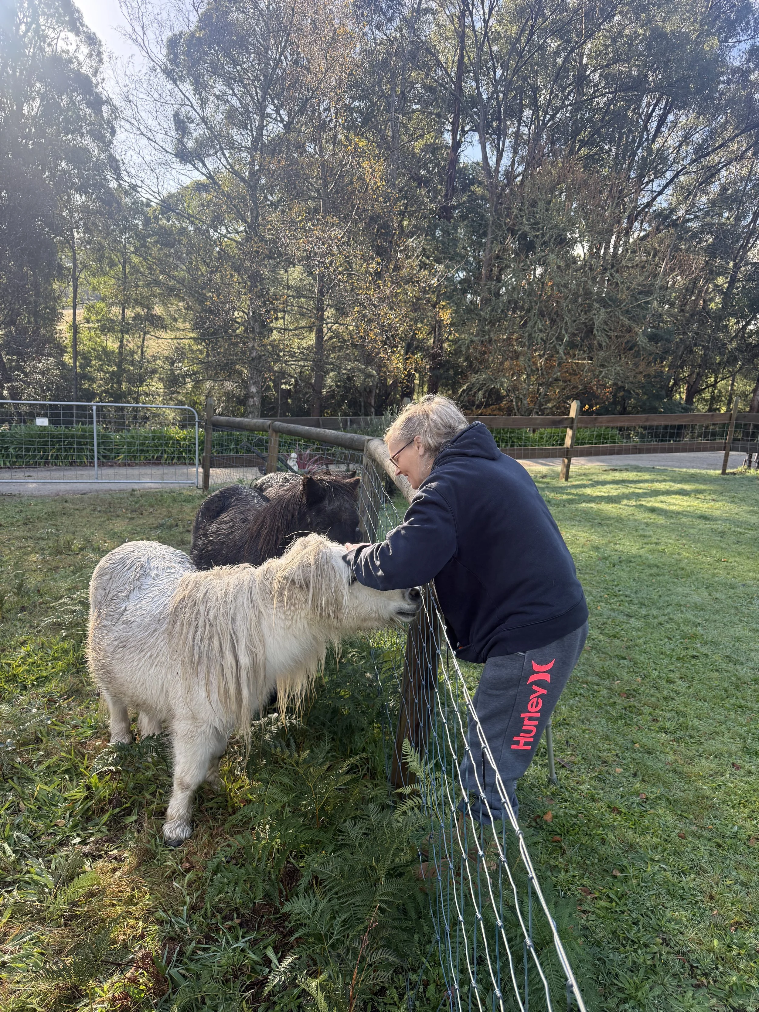 Feeding ponies.jpeg
