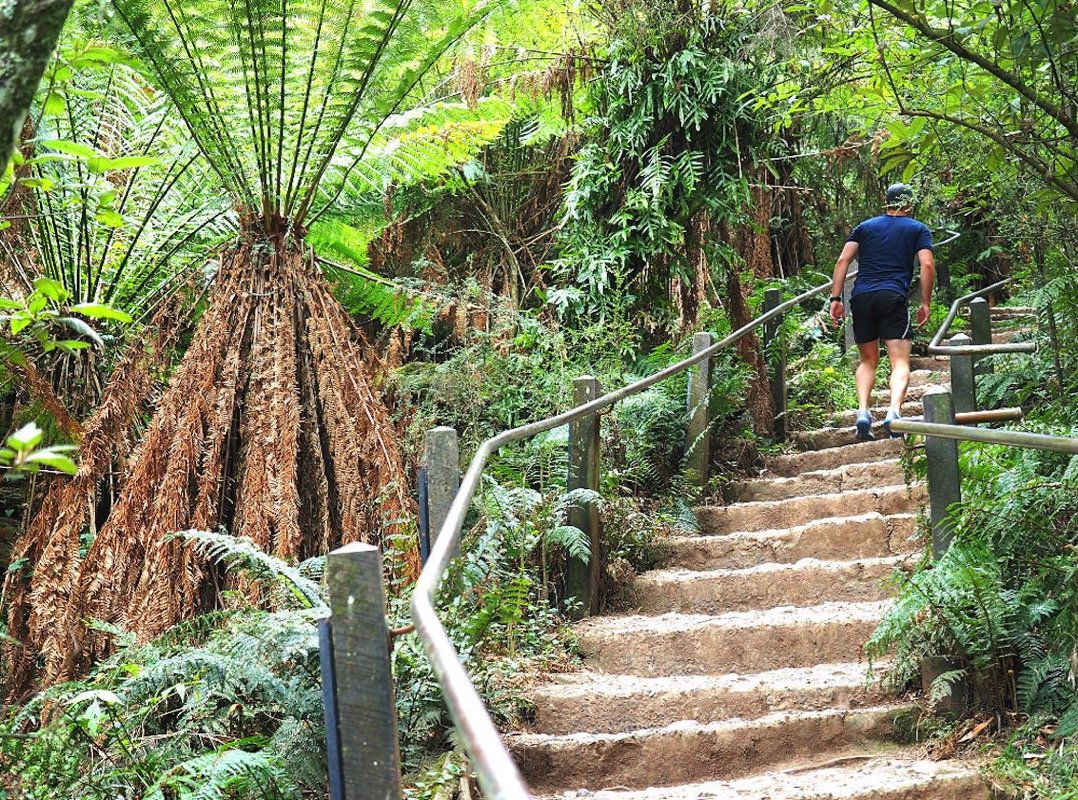 1000 Steps, Upper Ferntree Gully