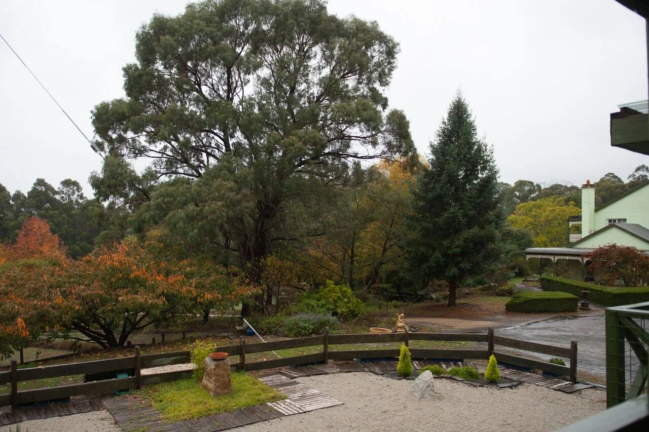 garden from sapphire unit.jpeg
