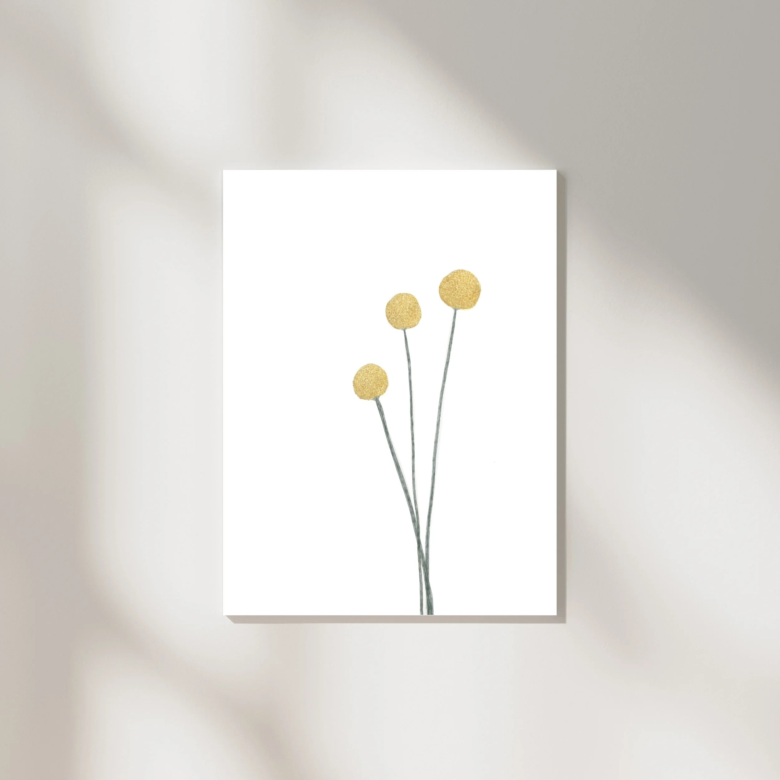 Billy Buttons Print