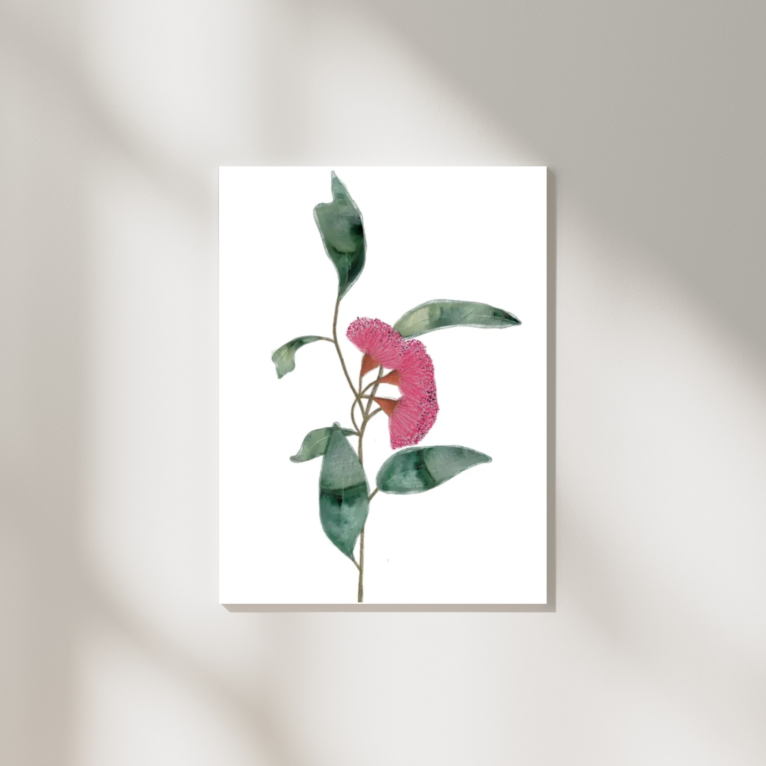 Gum Blossom Print