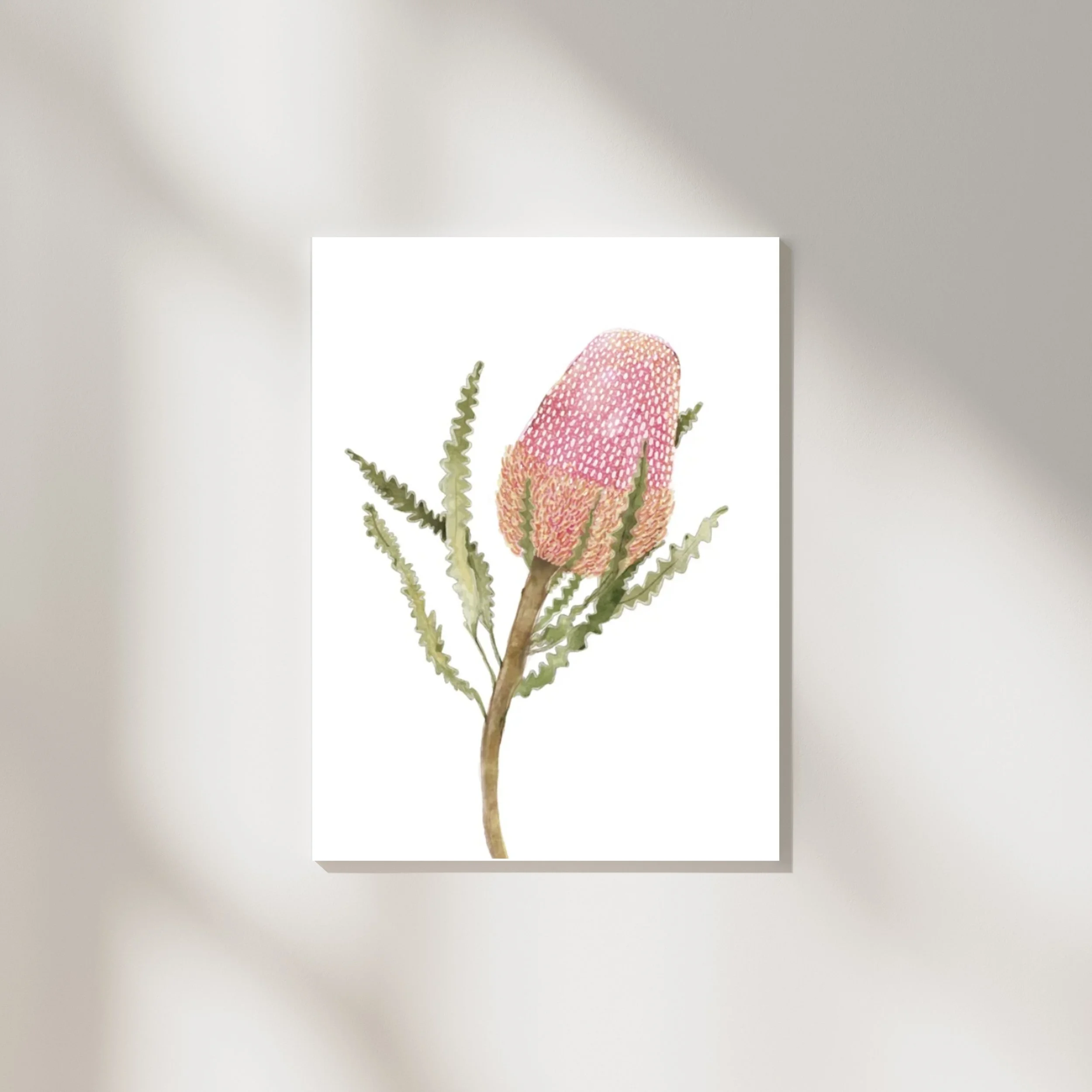 Pink Banksia Print