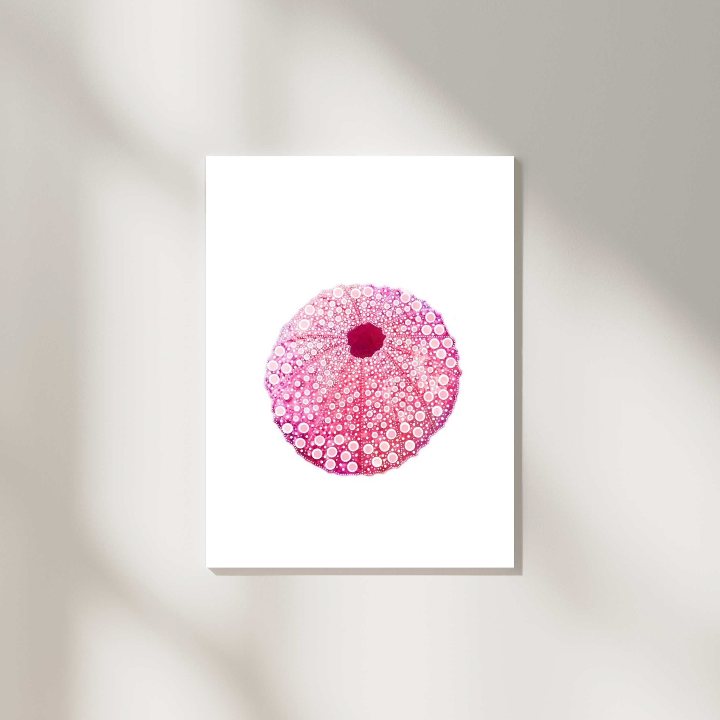 Pink Sea Urchin Print