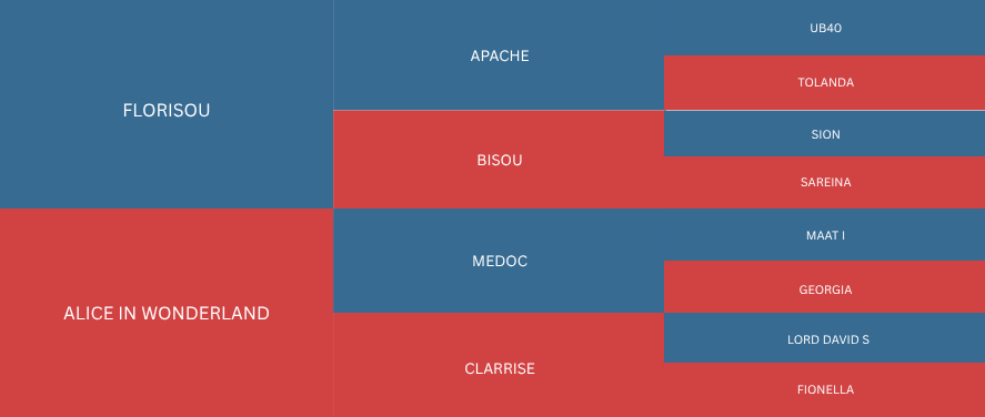 A treemap chart displaying various regions and their subdivisions with blue and red sections, including labels such as Alice in Wonderland, Florisou, Apaches, Medoc, Bisou, Clarrise, and other geographic names.