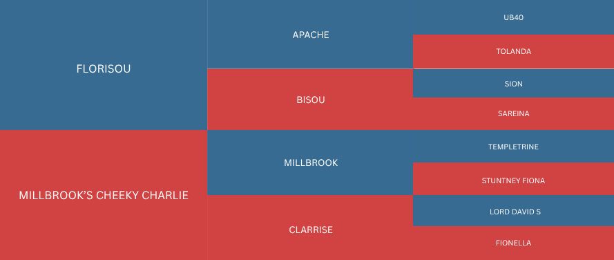 Tree diagram with names of various dog breeds organized in blue and red boxes.