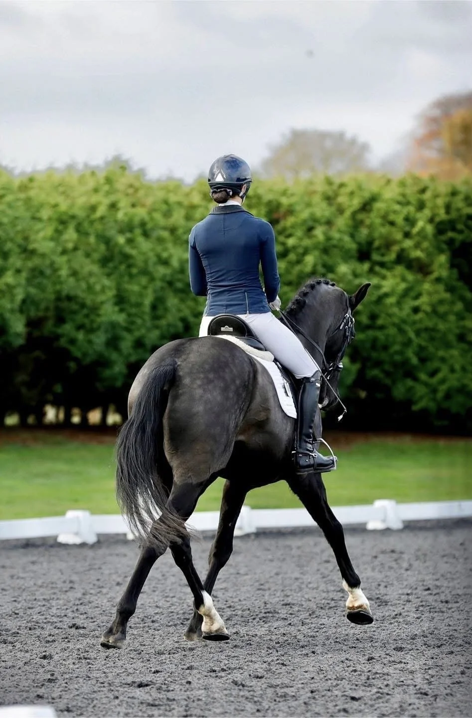 A rider in equestrian attire riding a black horse on a sandy arena, with green foliage and trees in the background.