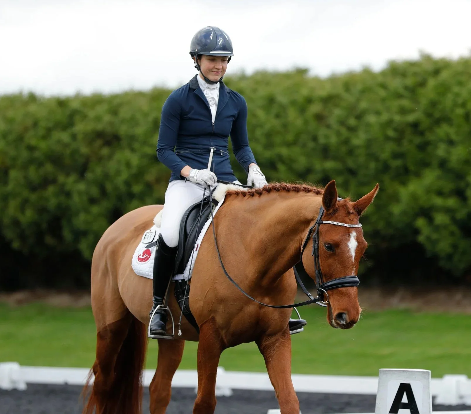 A woman dressed in equestrian attire riding a chestnut horse with braided mane, in a dressage arena with letter 'A' marker, green hedge backdrop, and overcast sky.