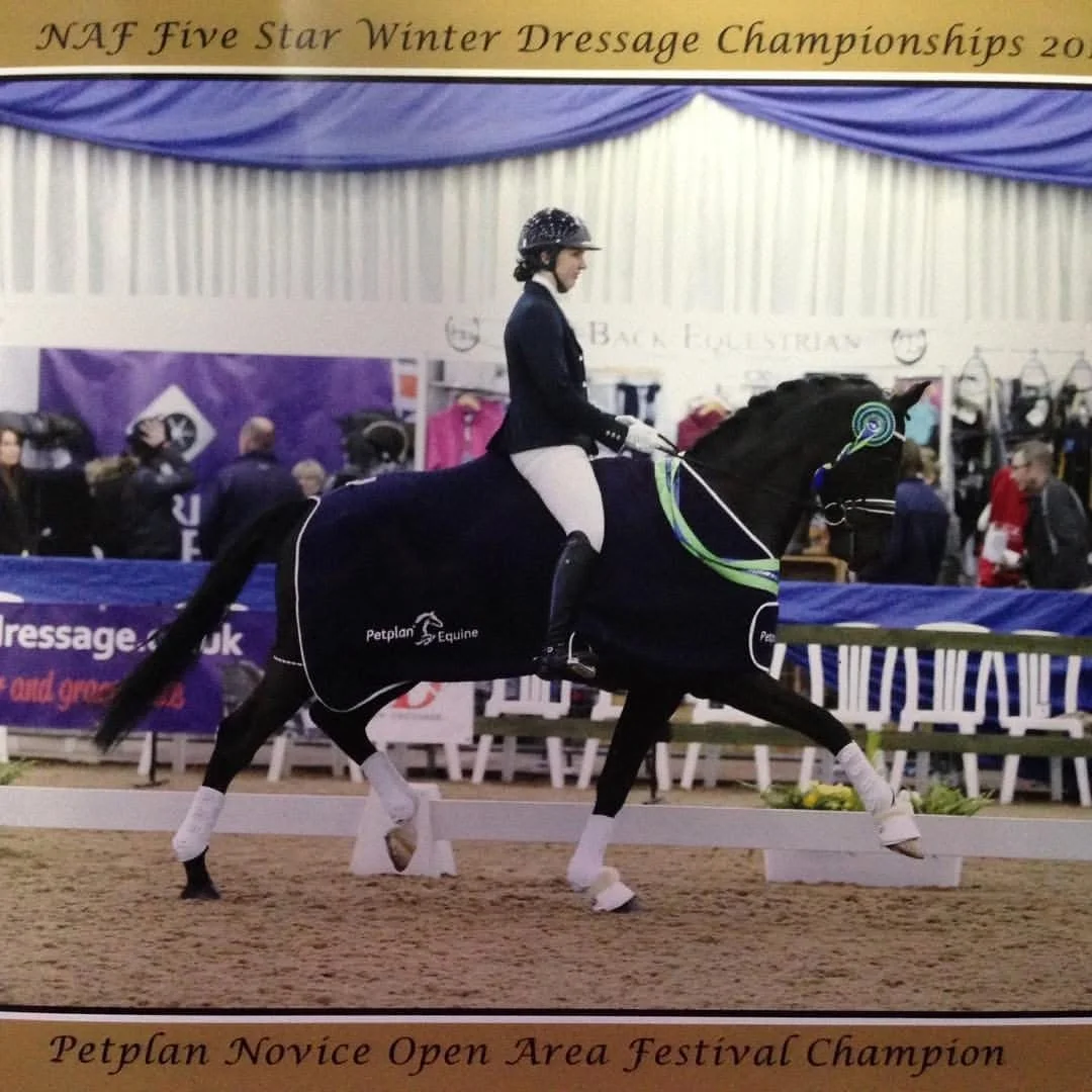 A person riding a horse in a dressage competition at the Petplan Novice Open Area Festival Champion, with spectators and banners in the background.