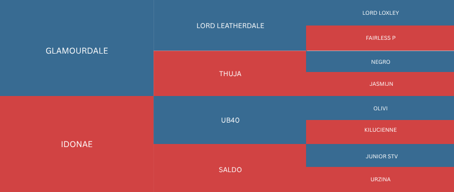 Tree diagram showing names of different groups or categories arranged in a hierarchy with blue and red rectangles.
